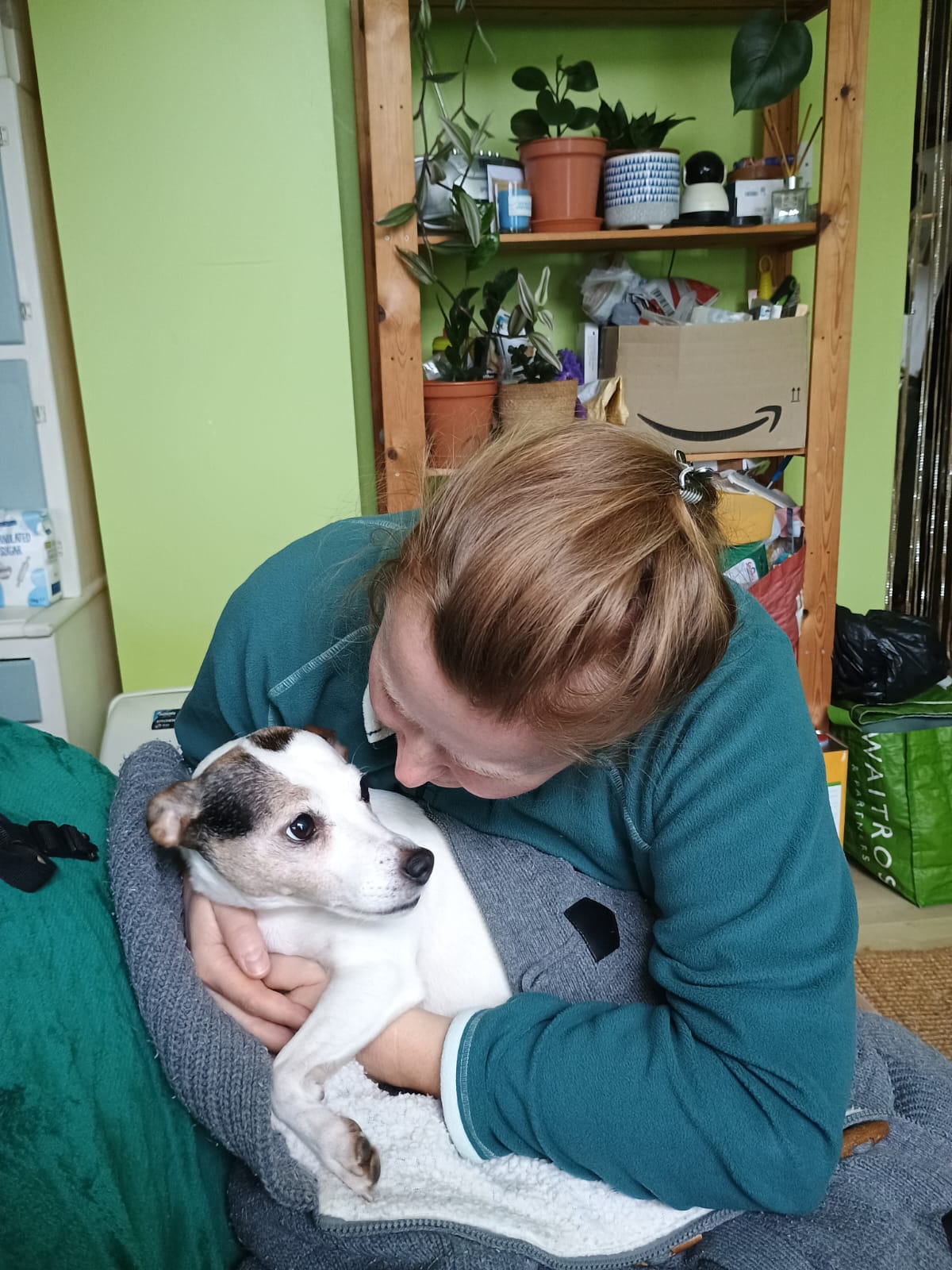 image-9