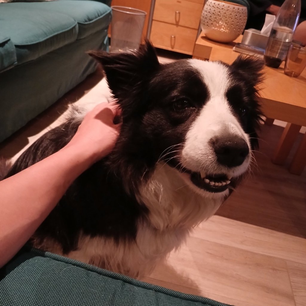 image-6