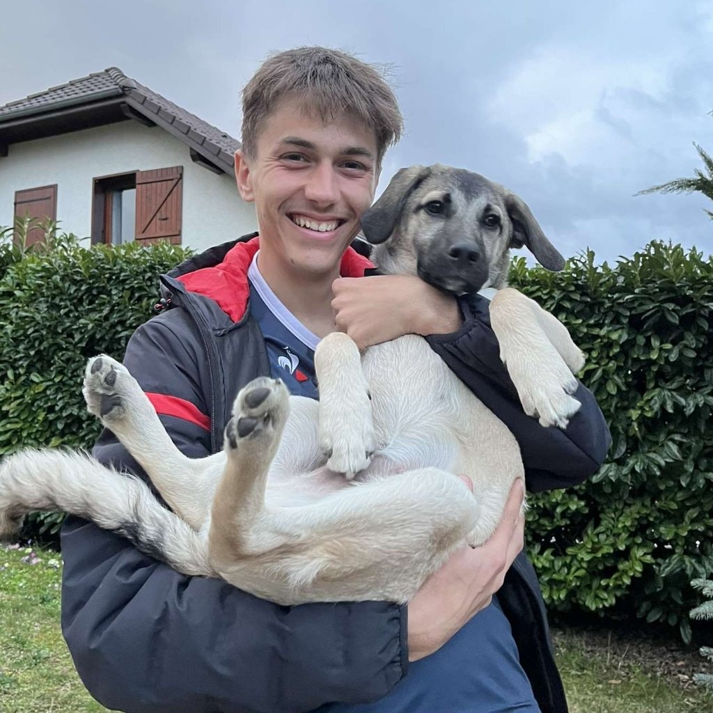 Maël