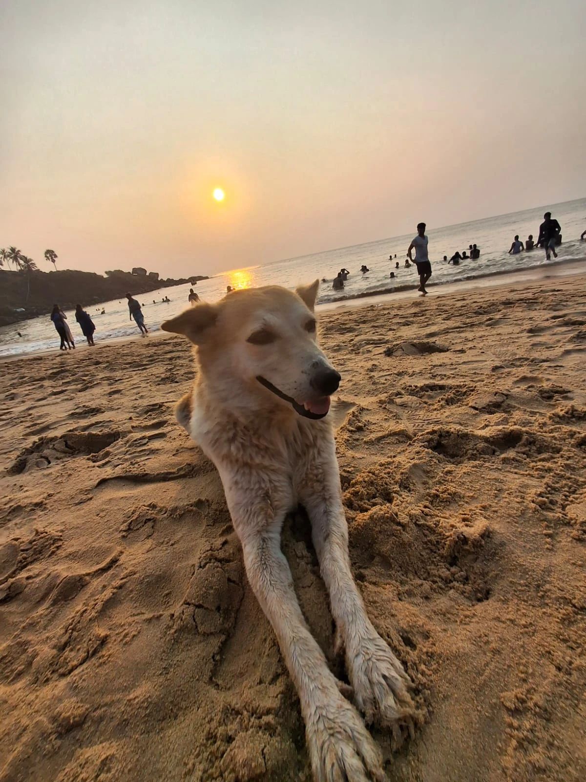 image-2