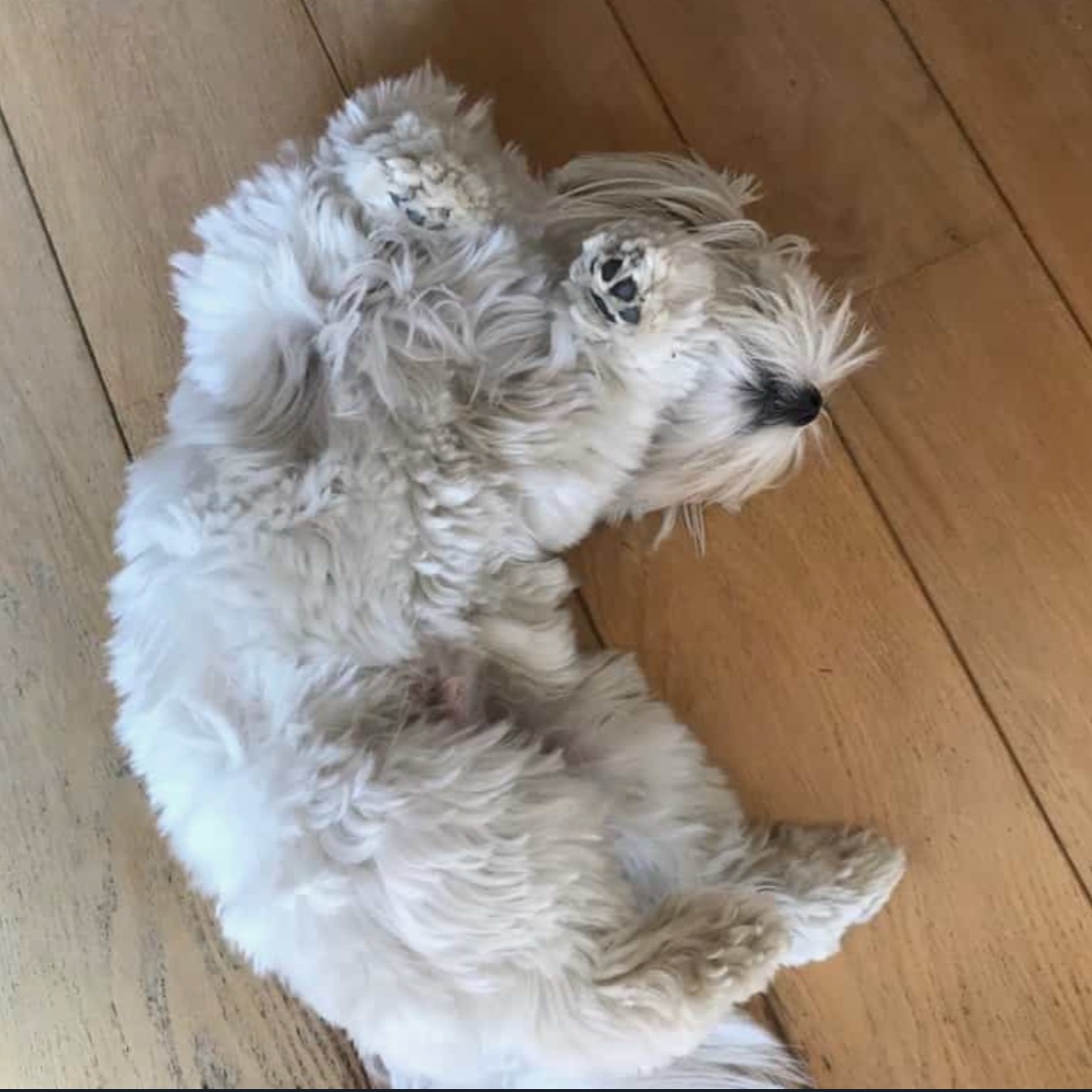 Winston