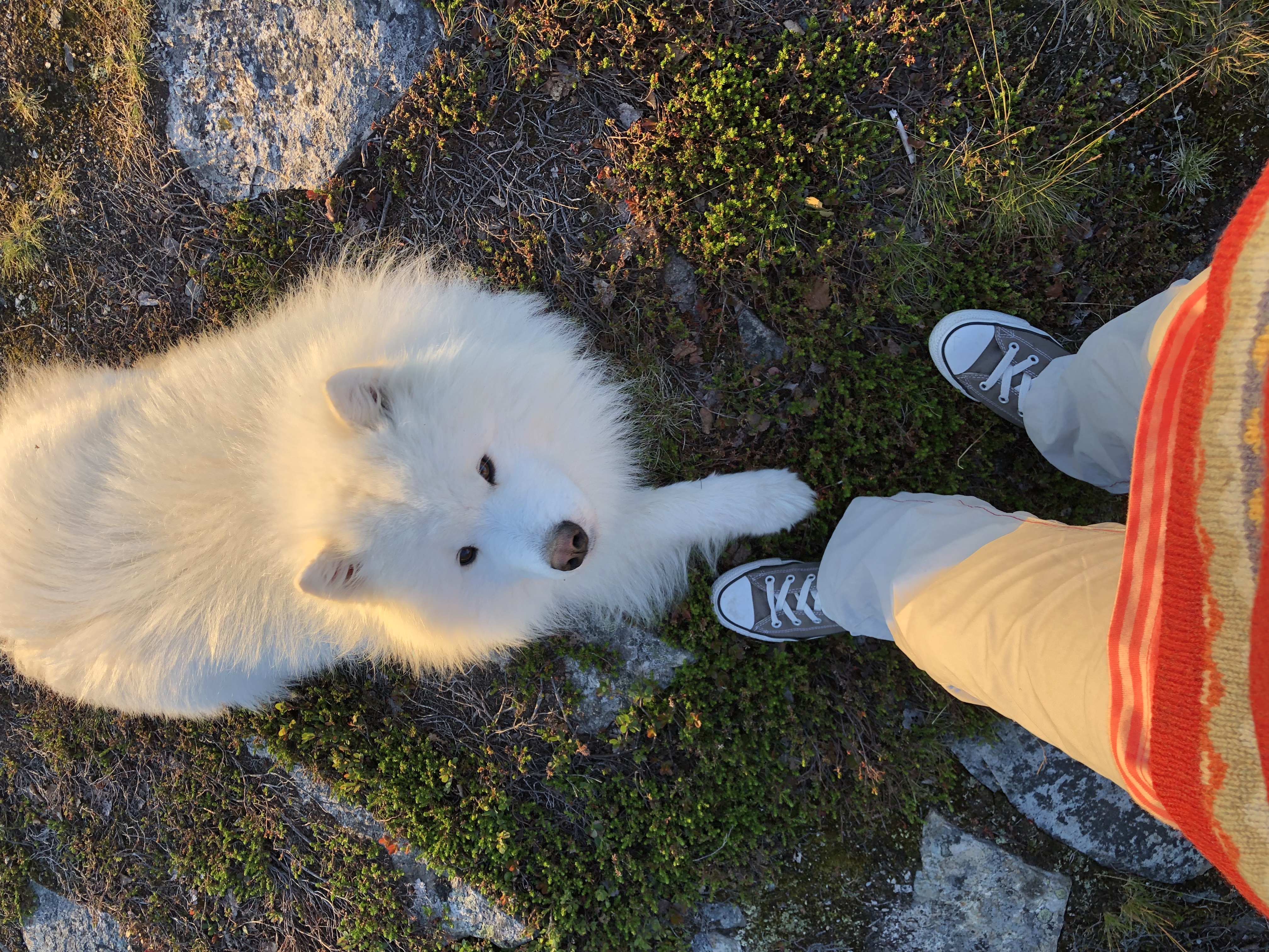 image-1