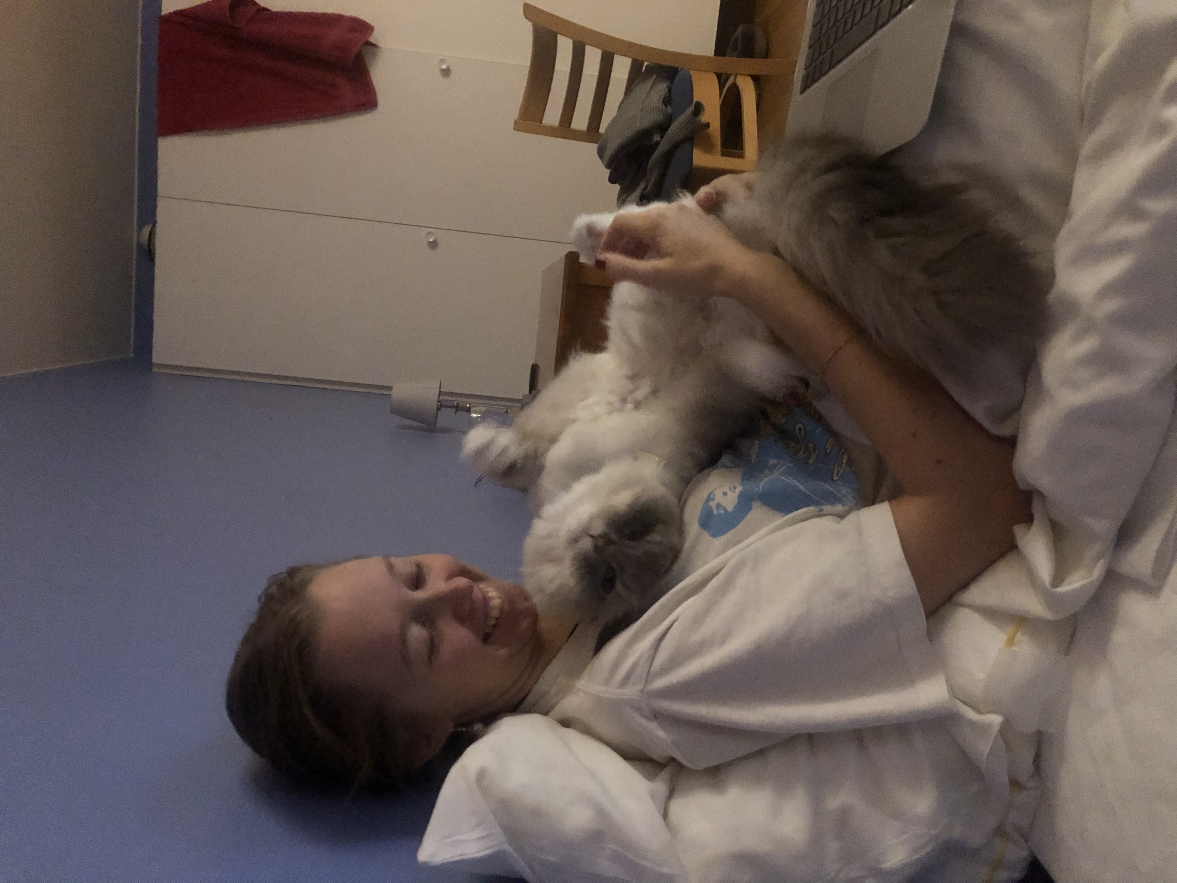 image-8