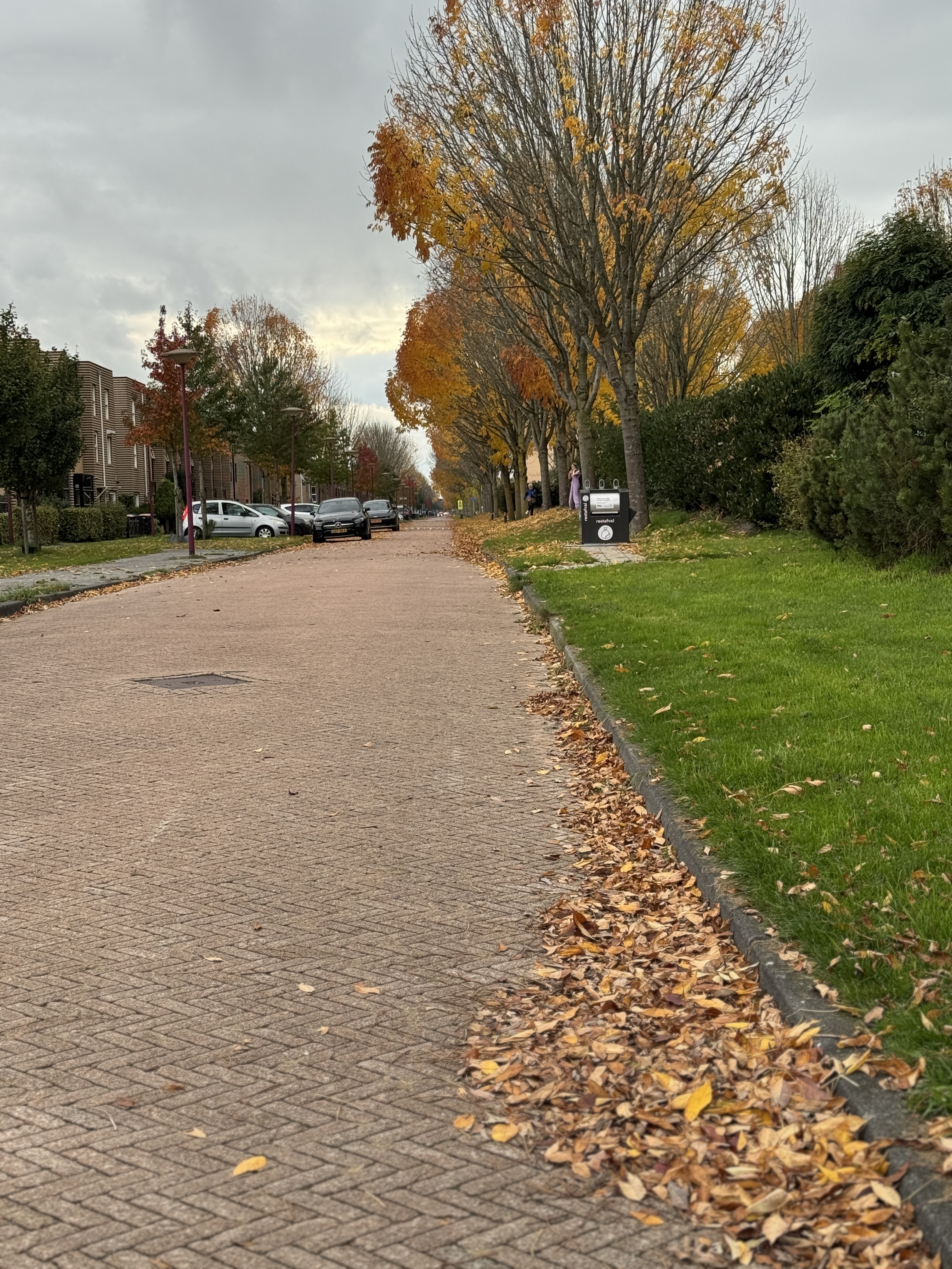 image-16