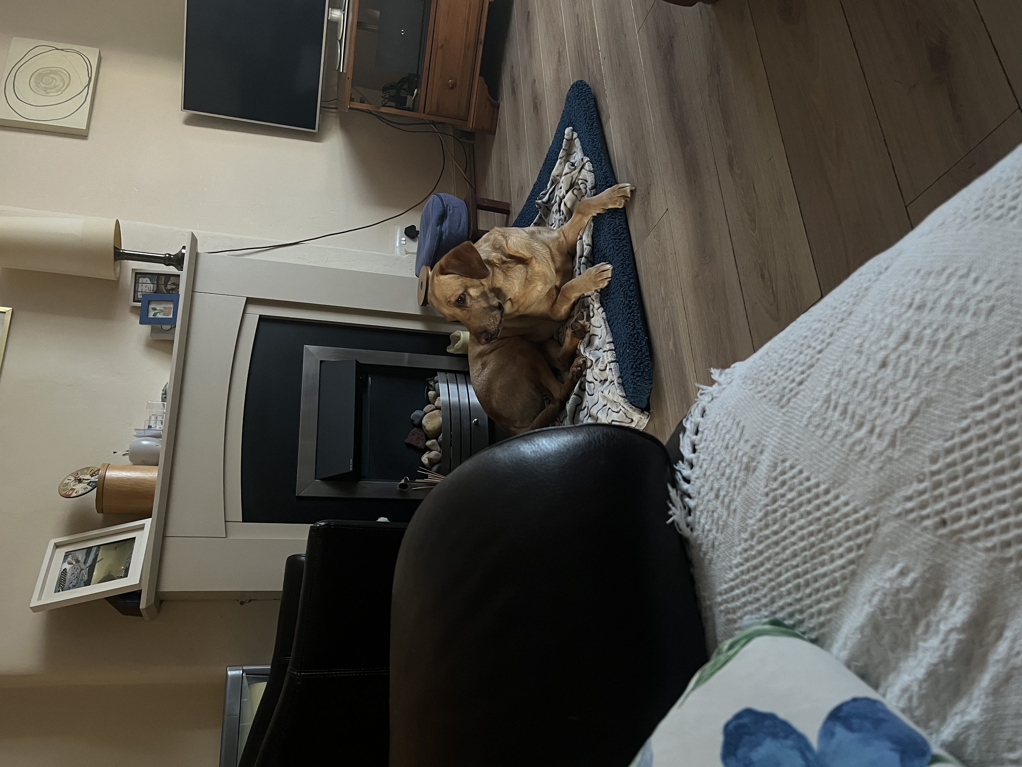 image-9