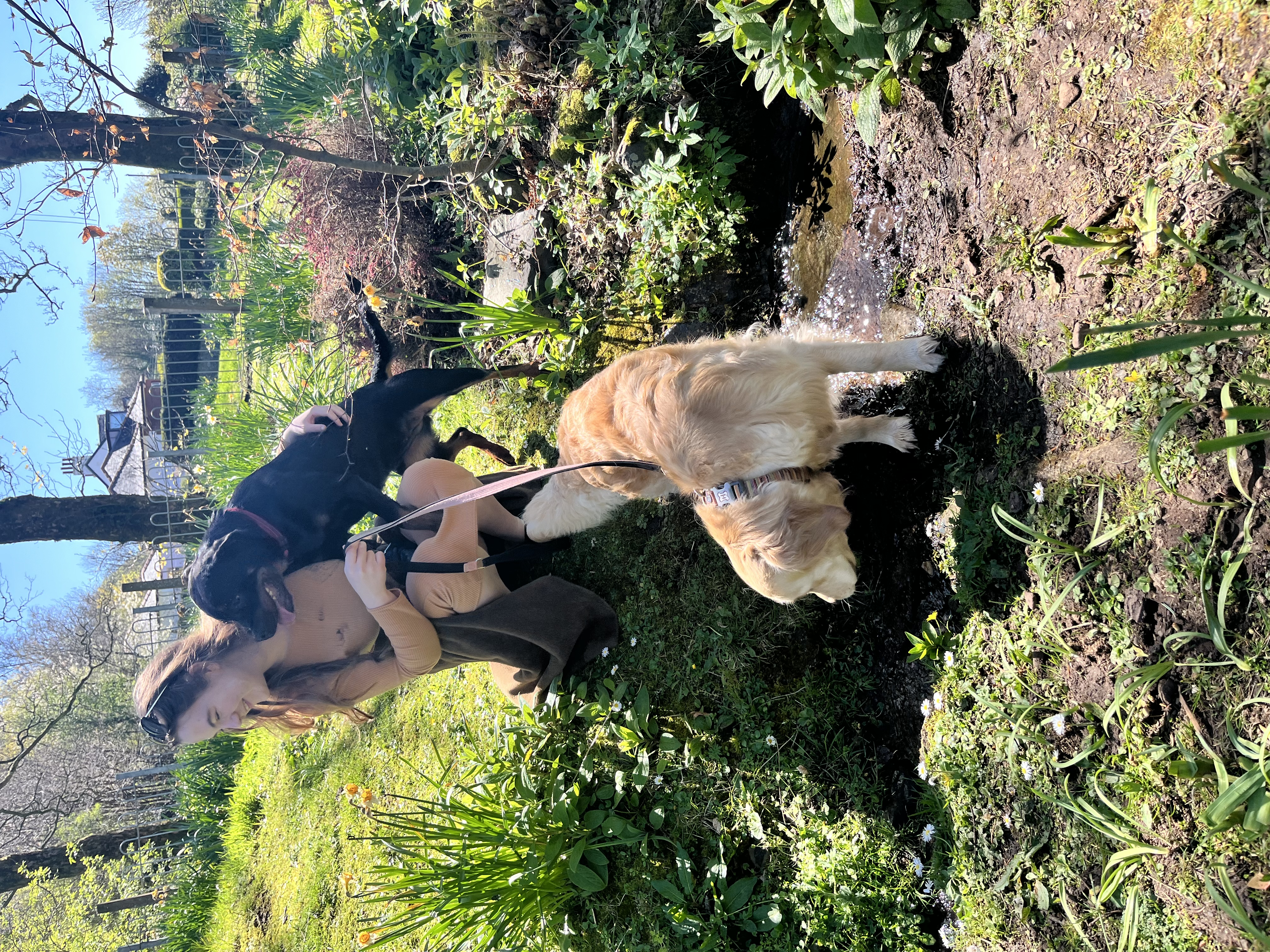 image-3