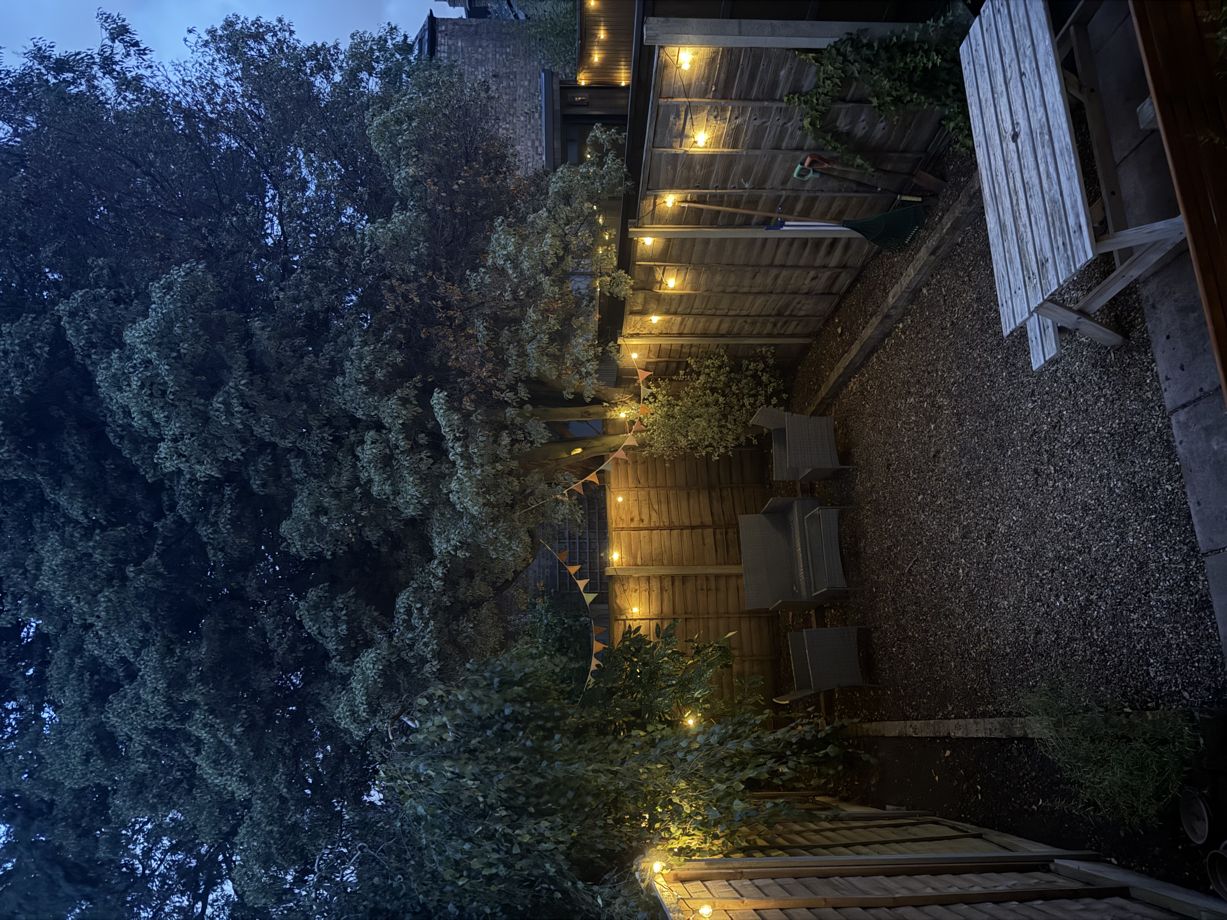 image-25