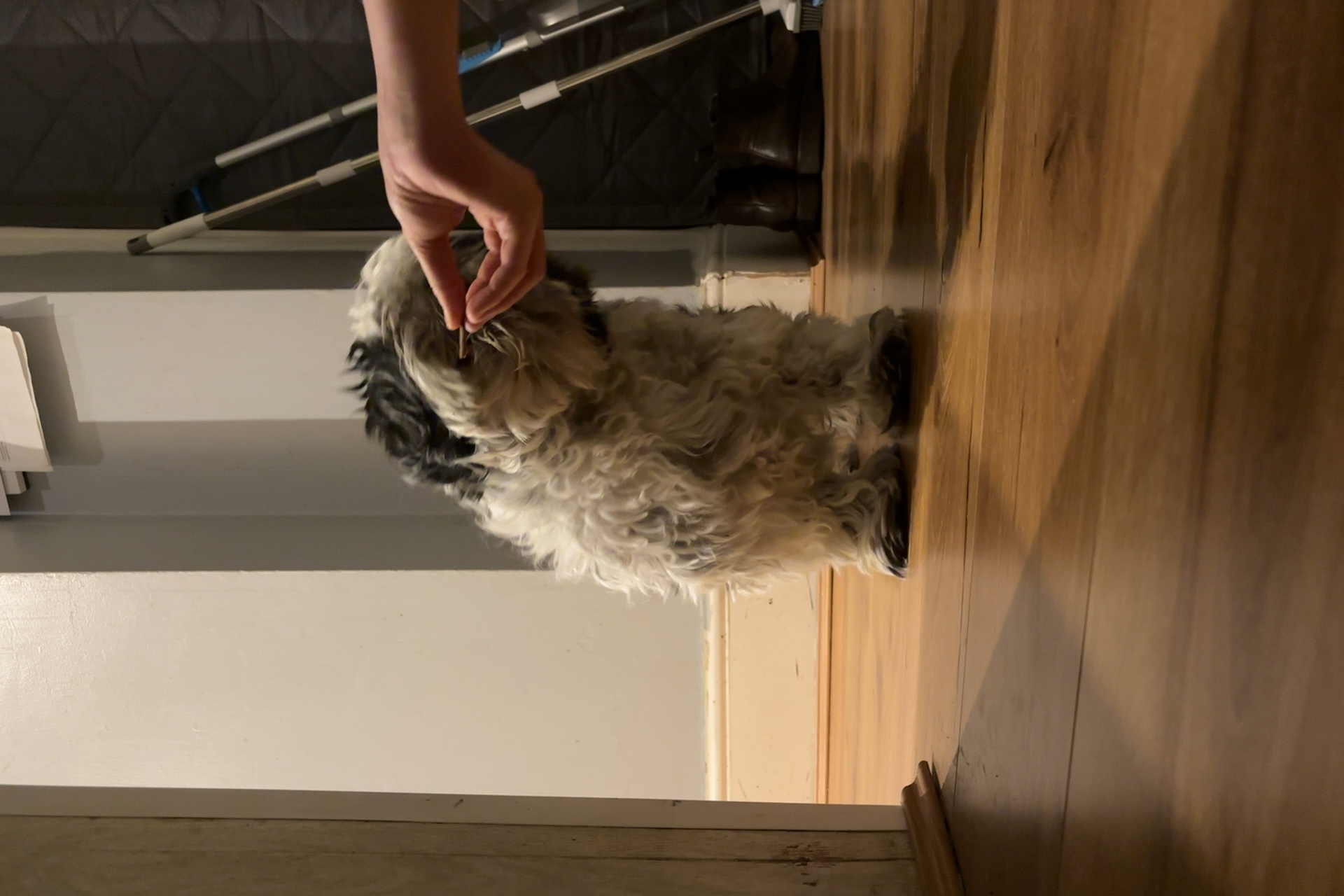 image-14