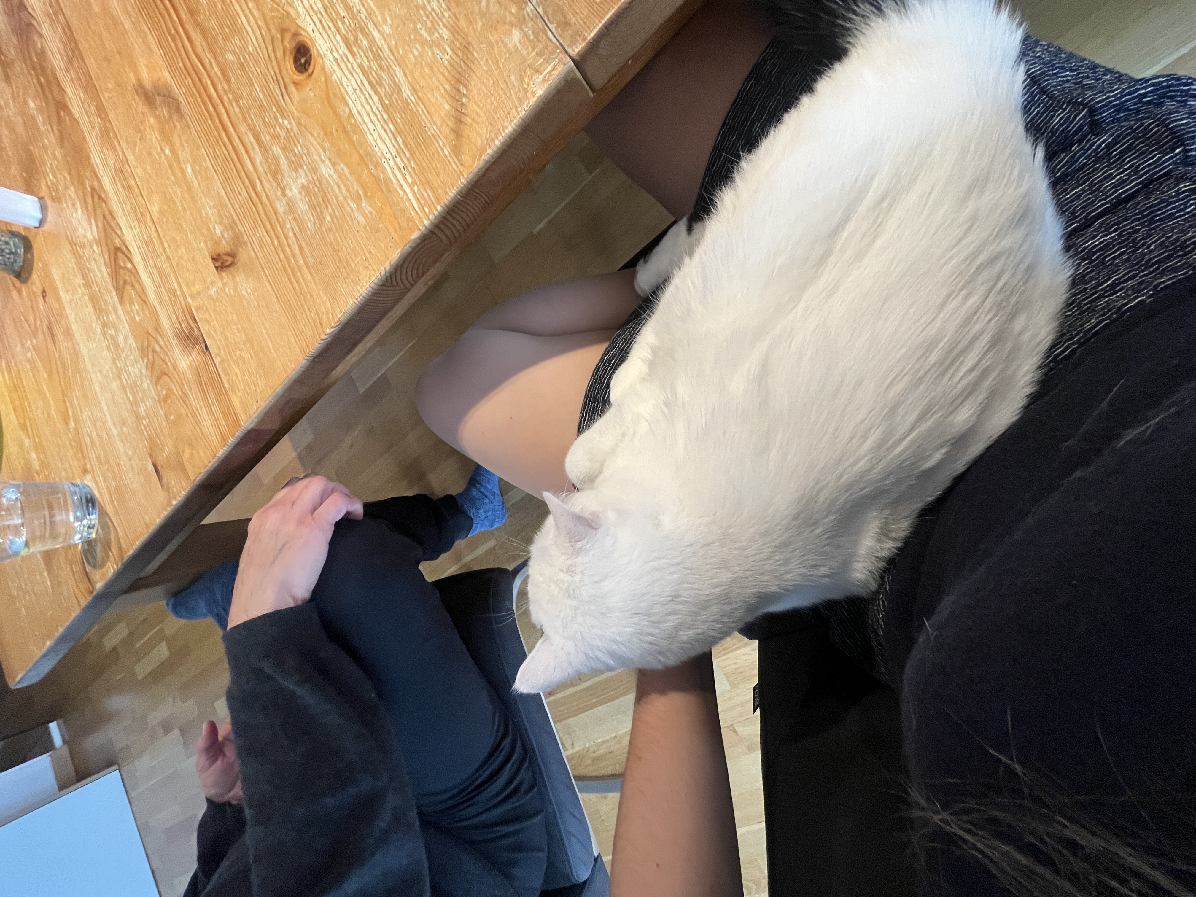 image-7