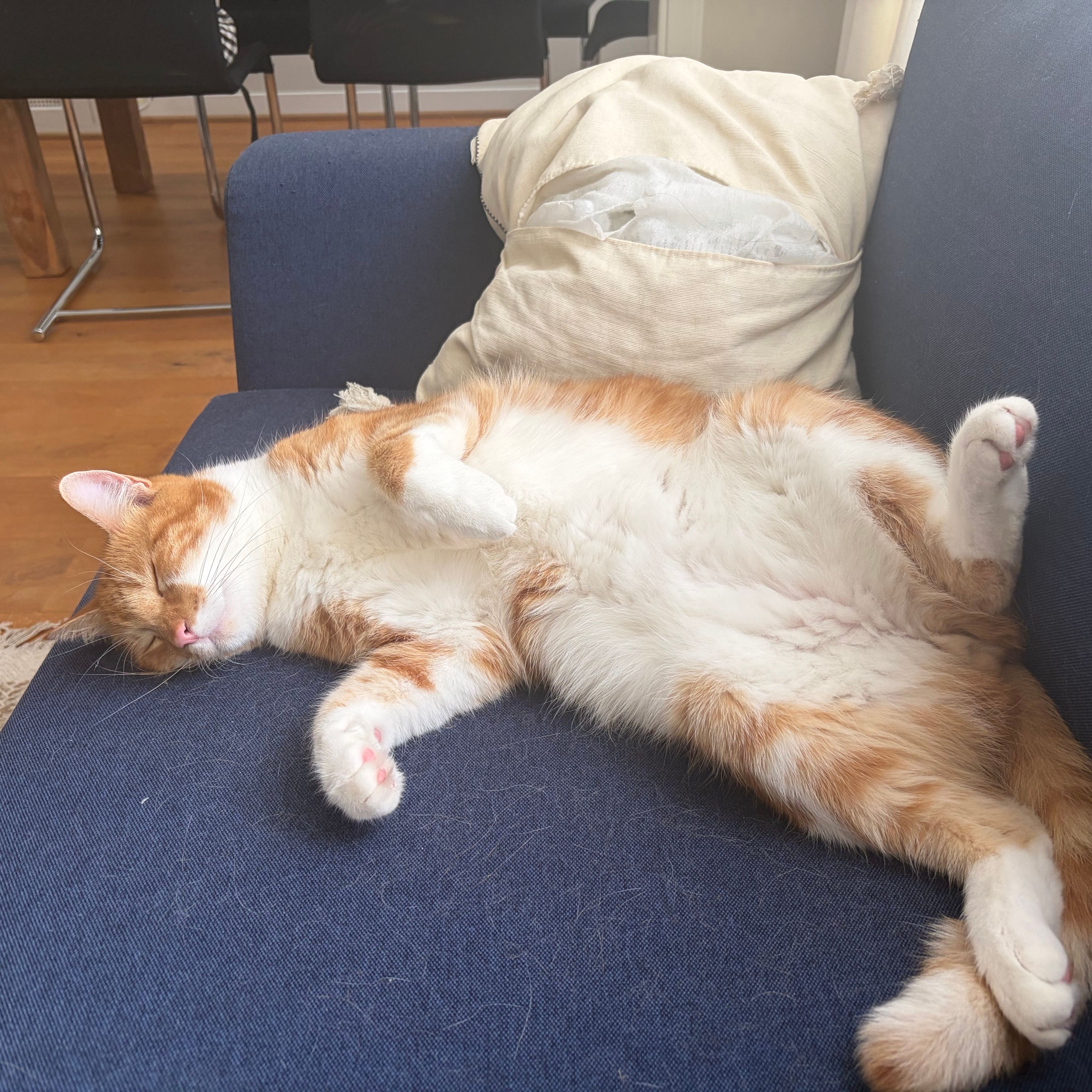 Frits
