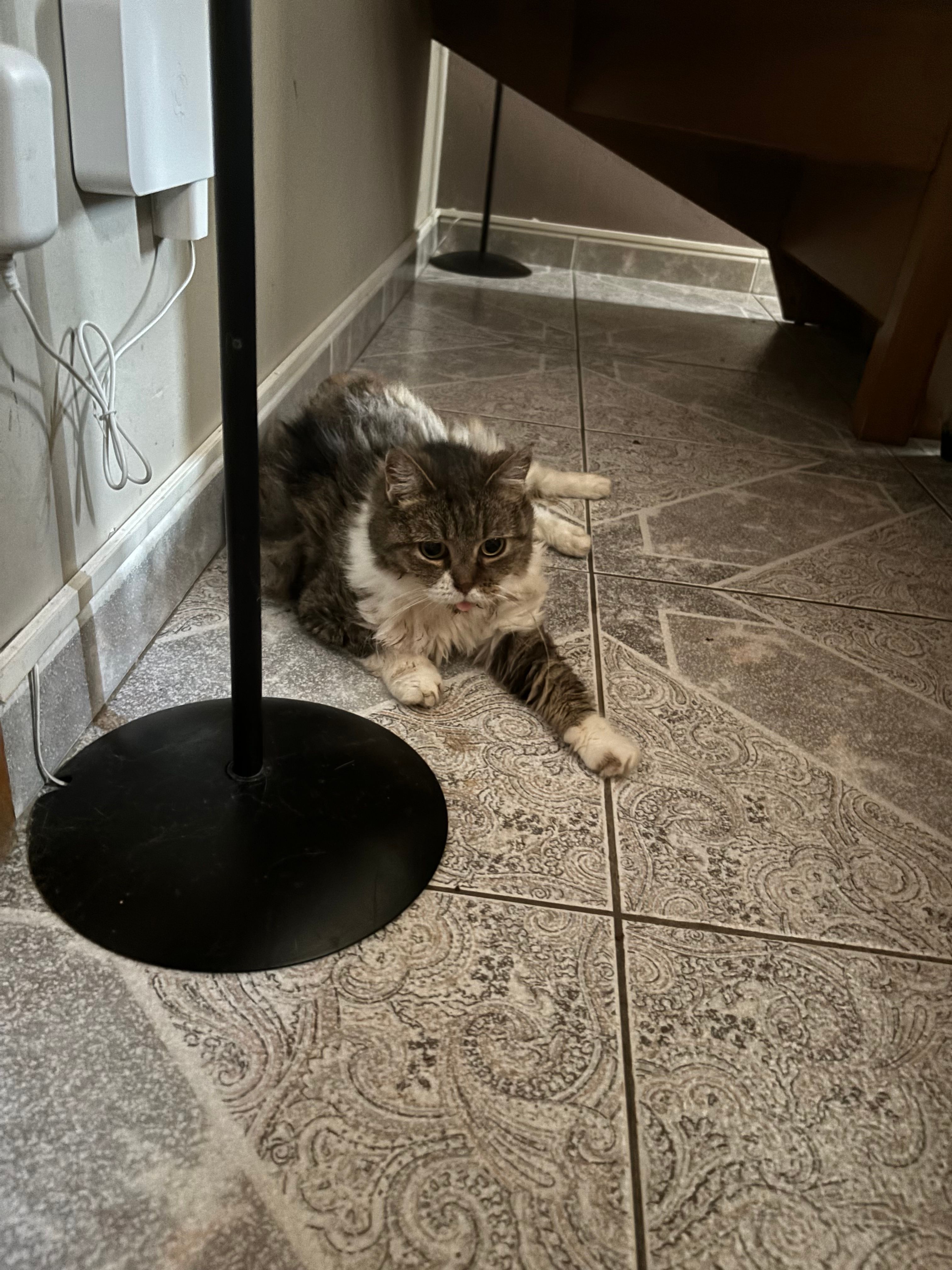 image-14