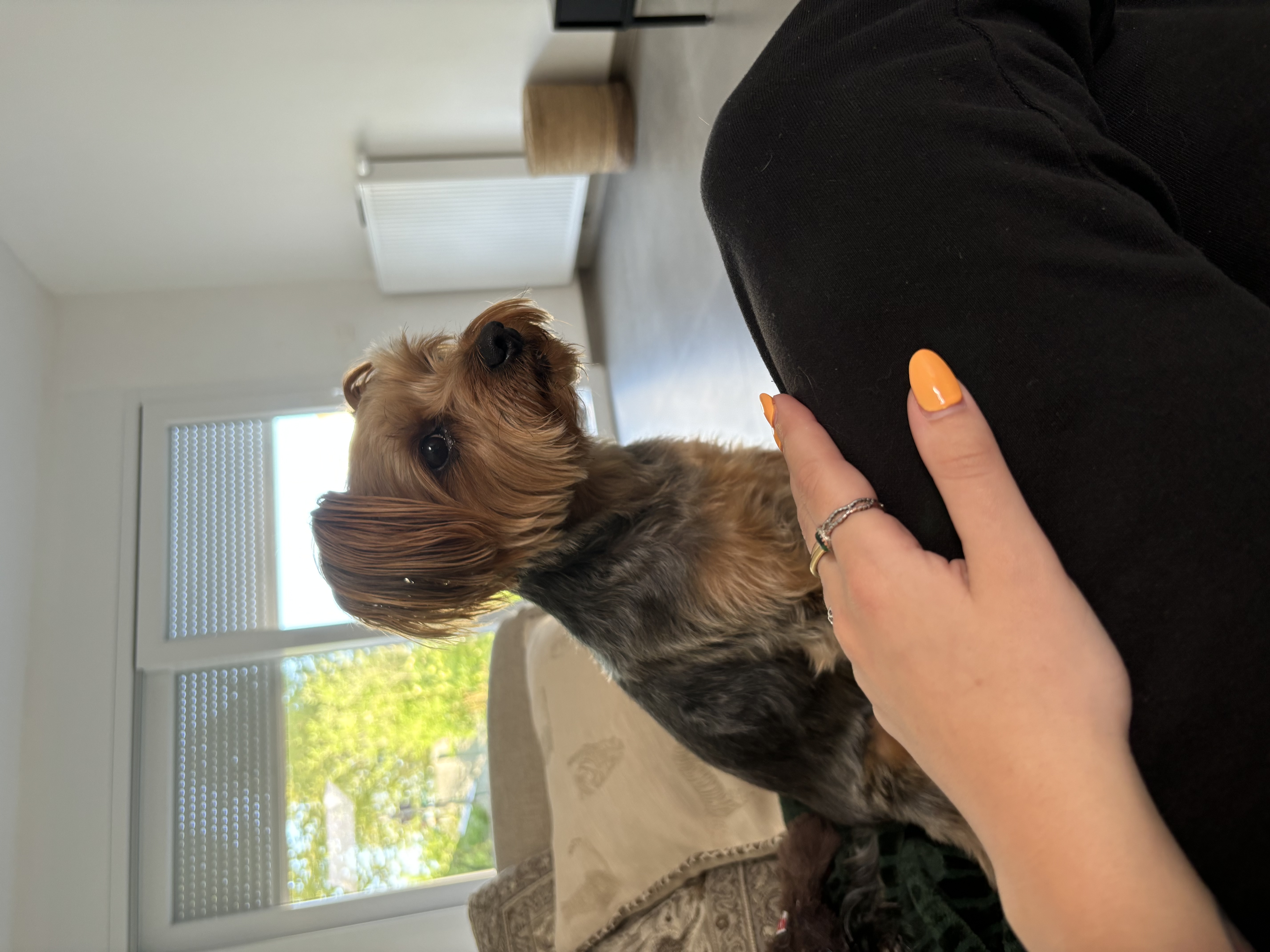 image-8