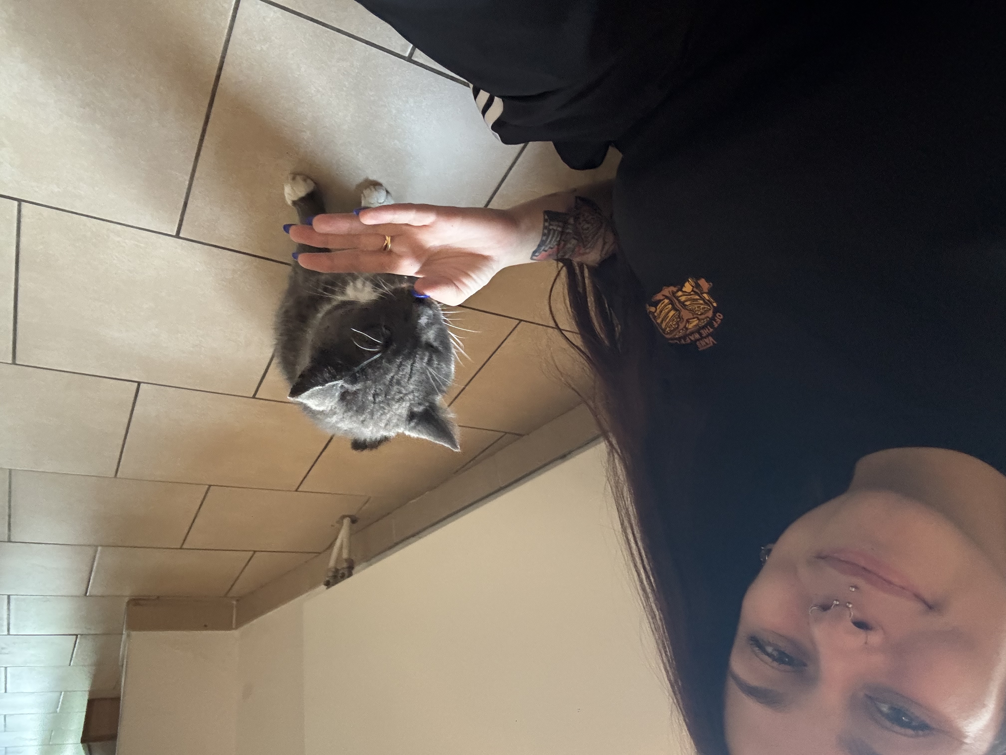 image-0
