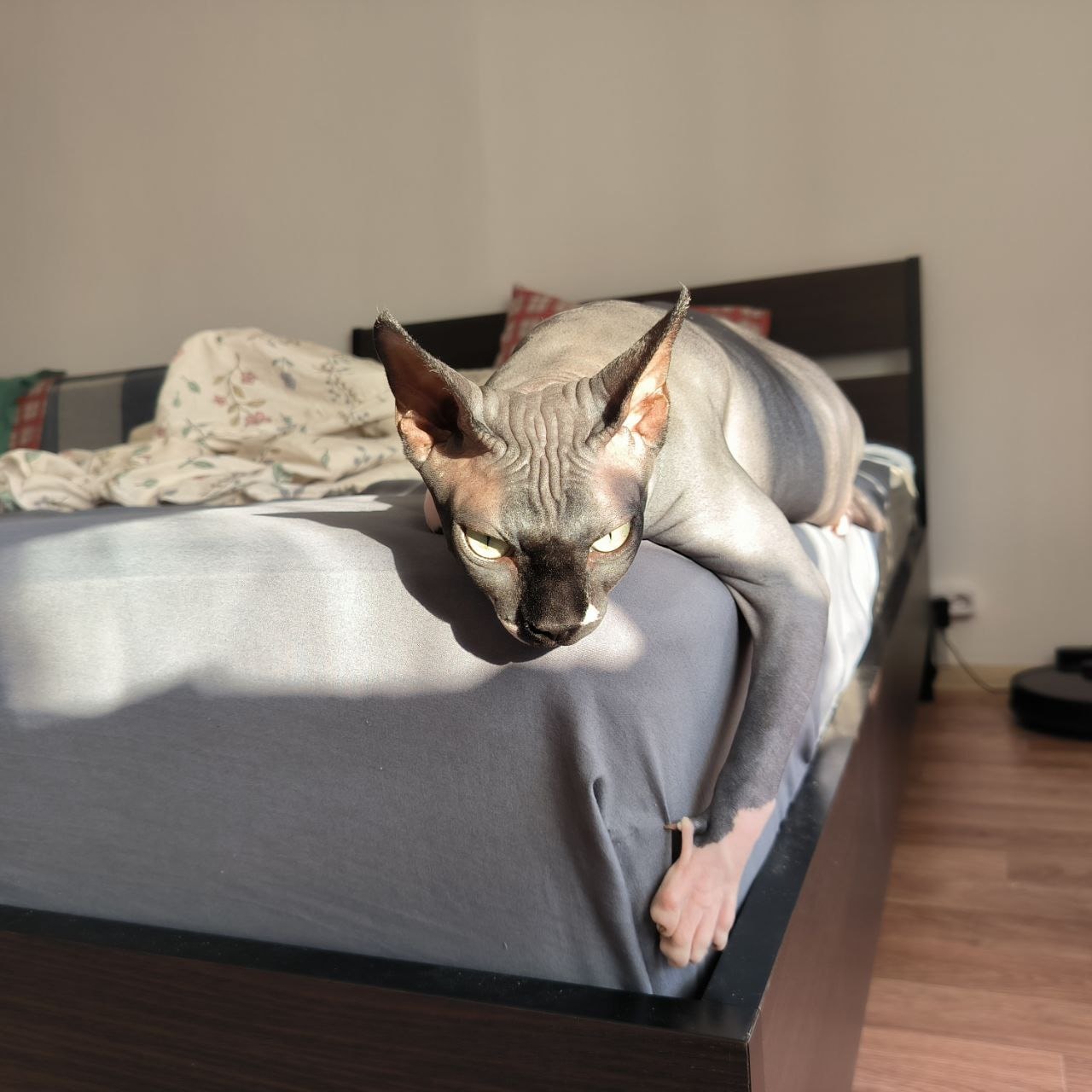 image-6