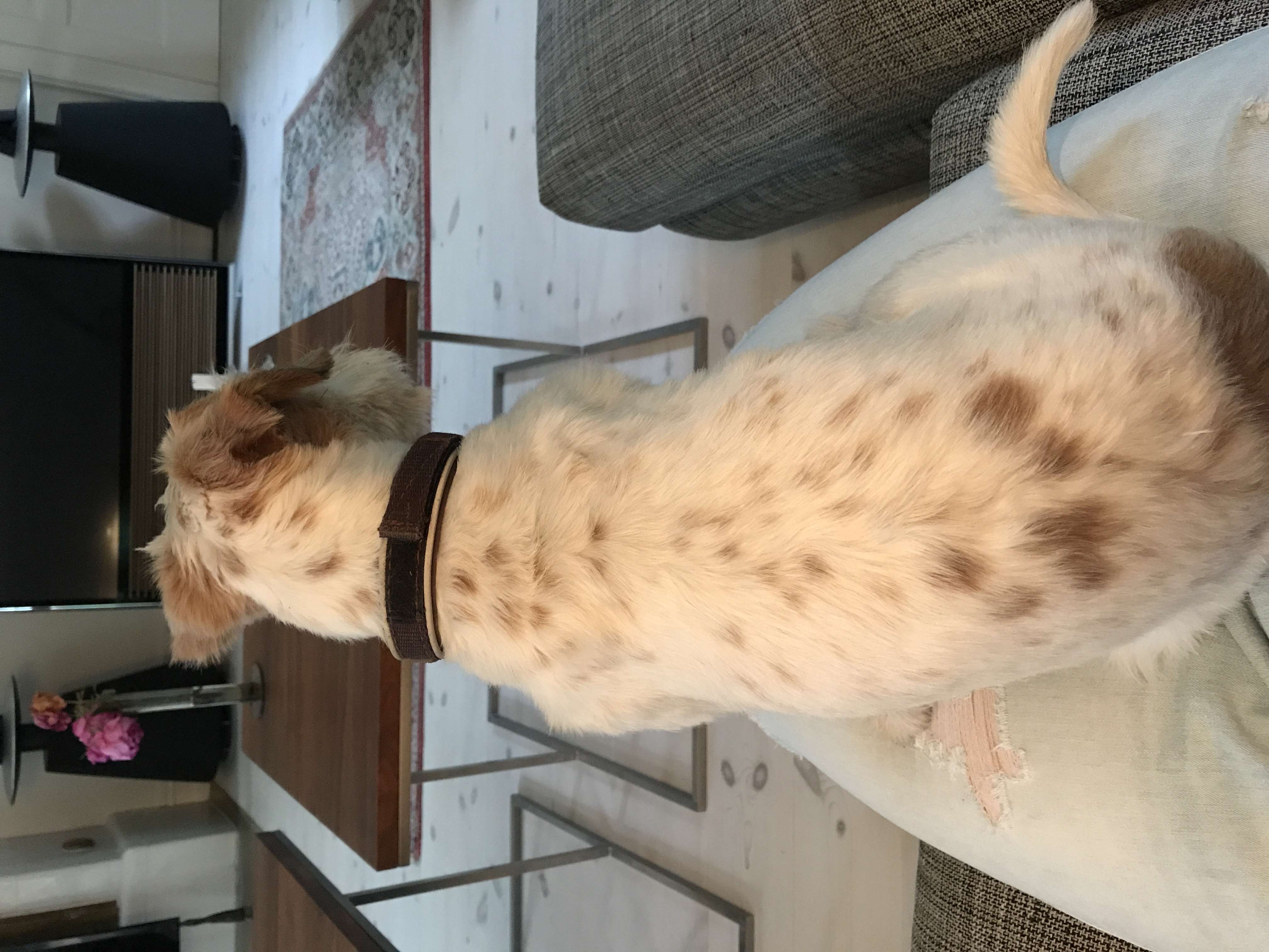 image-6