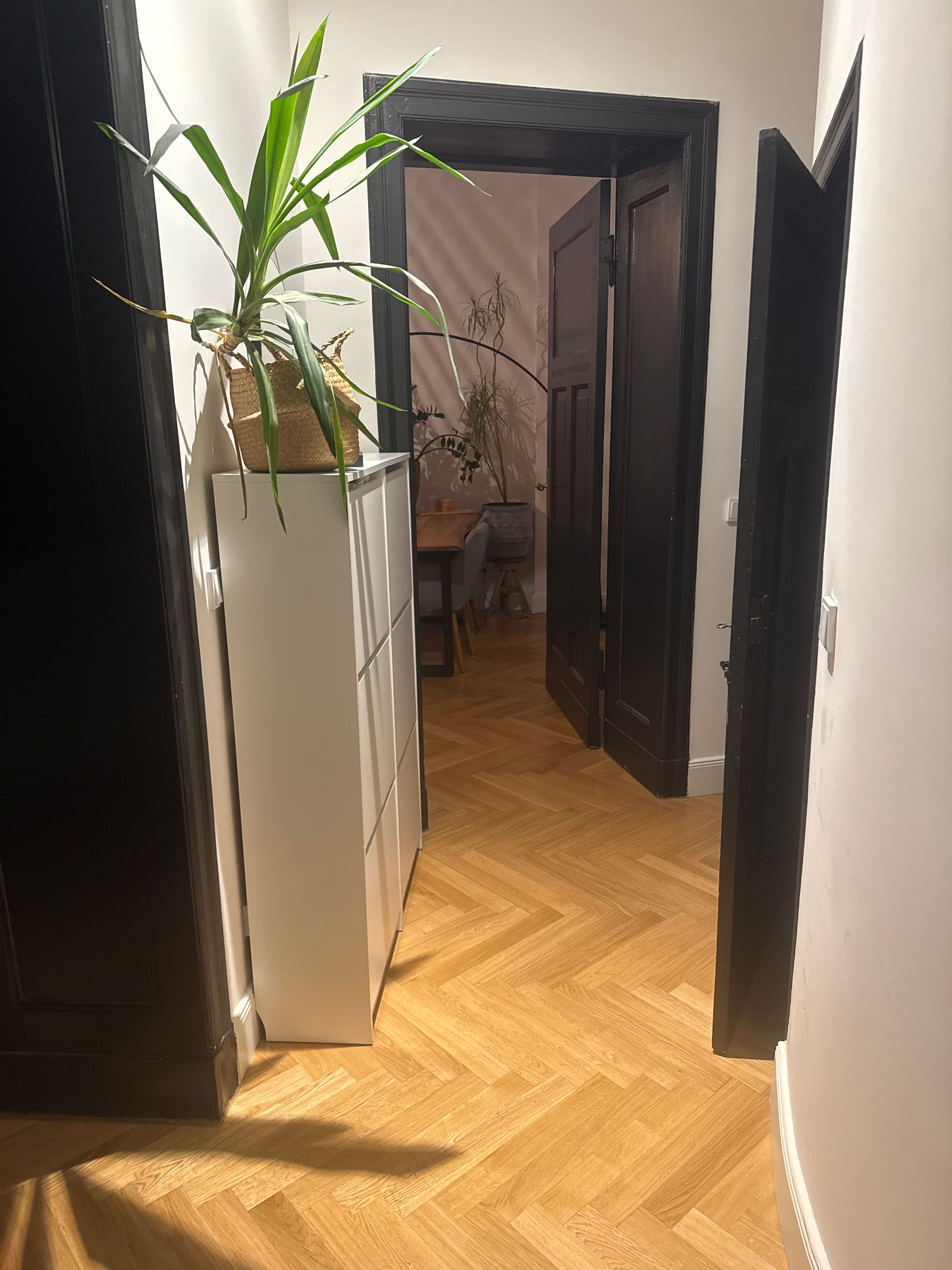 image-17
