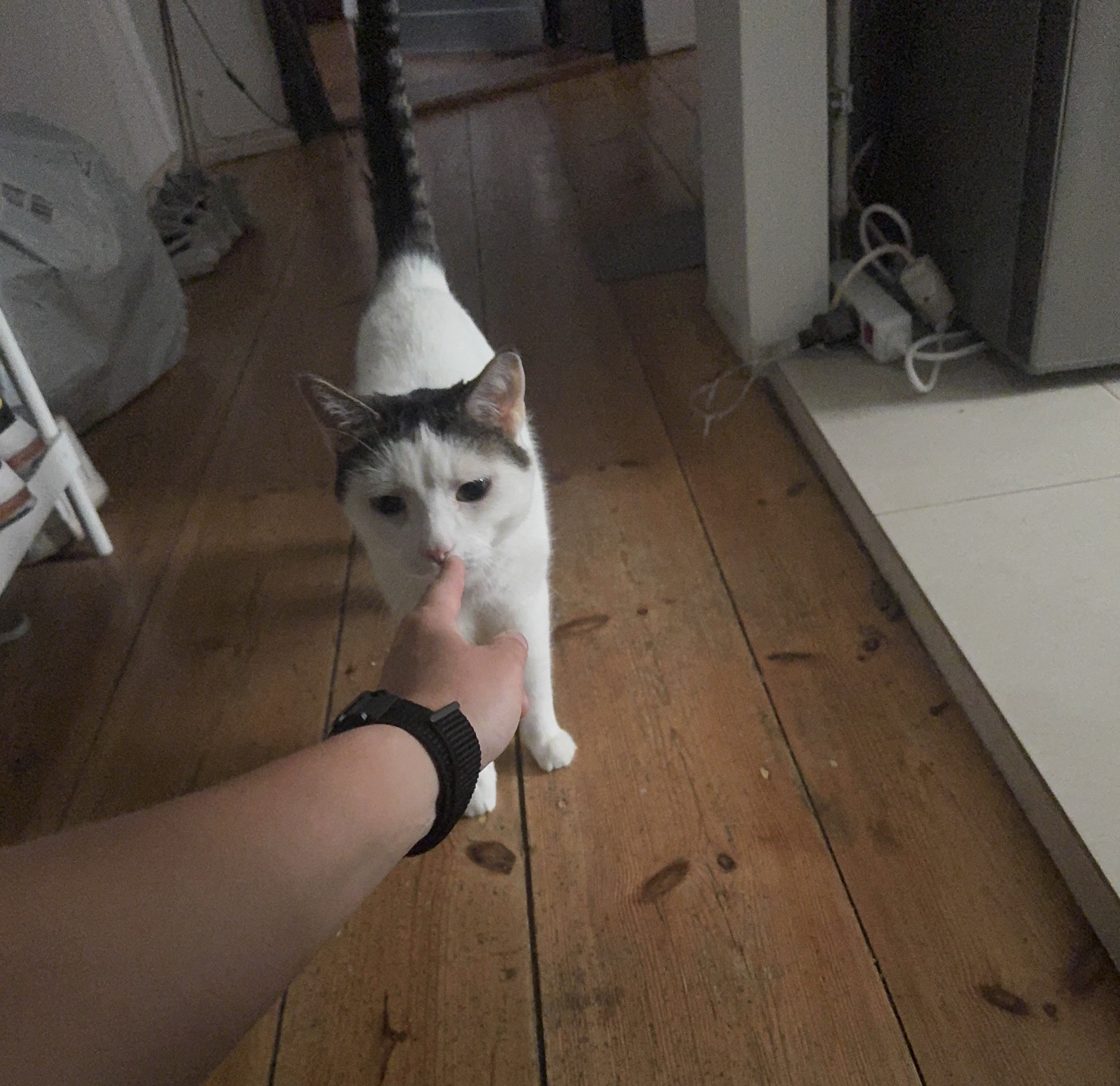 image-7