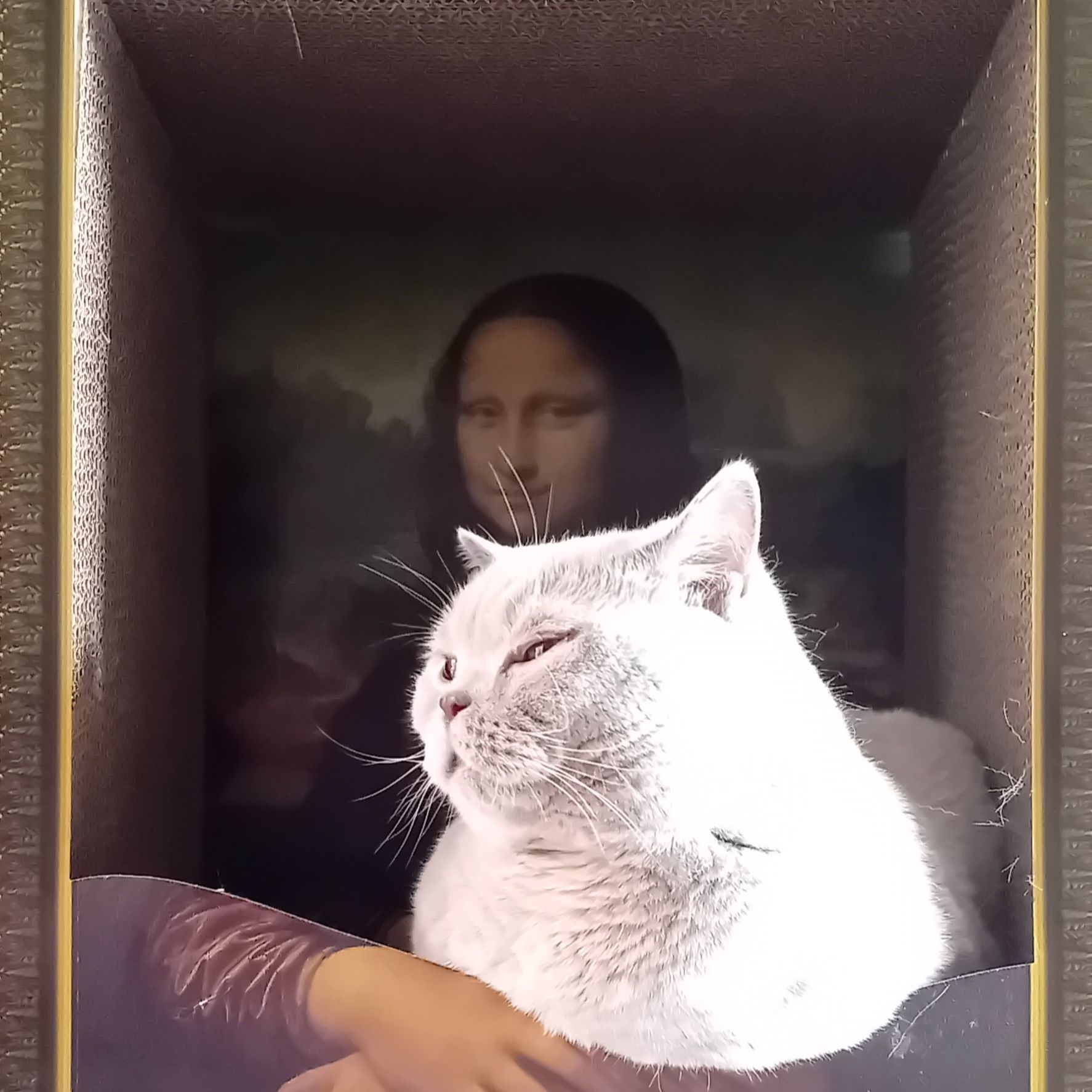 Sem