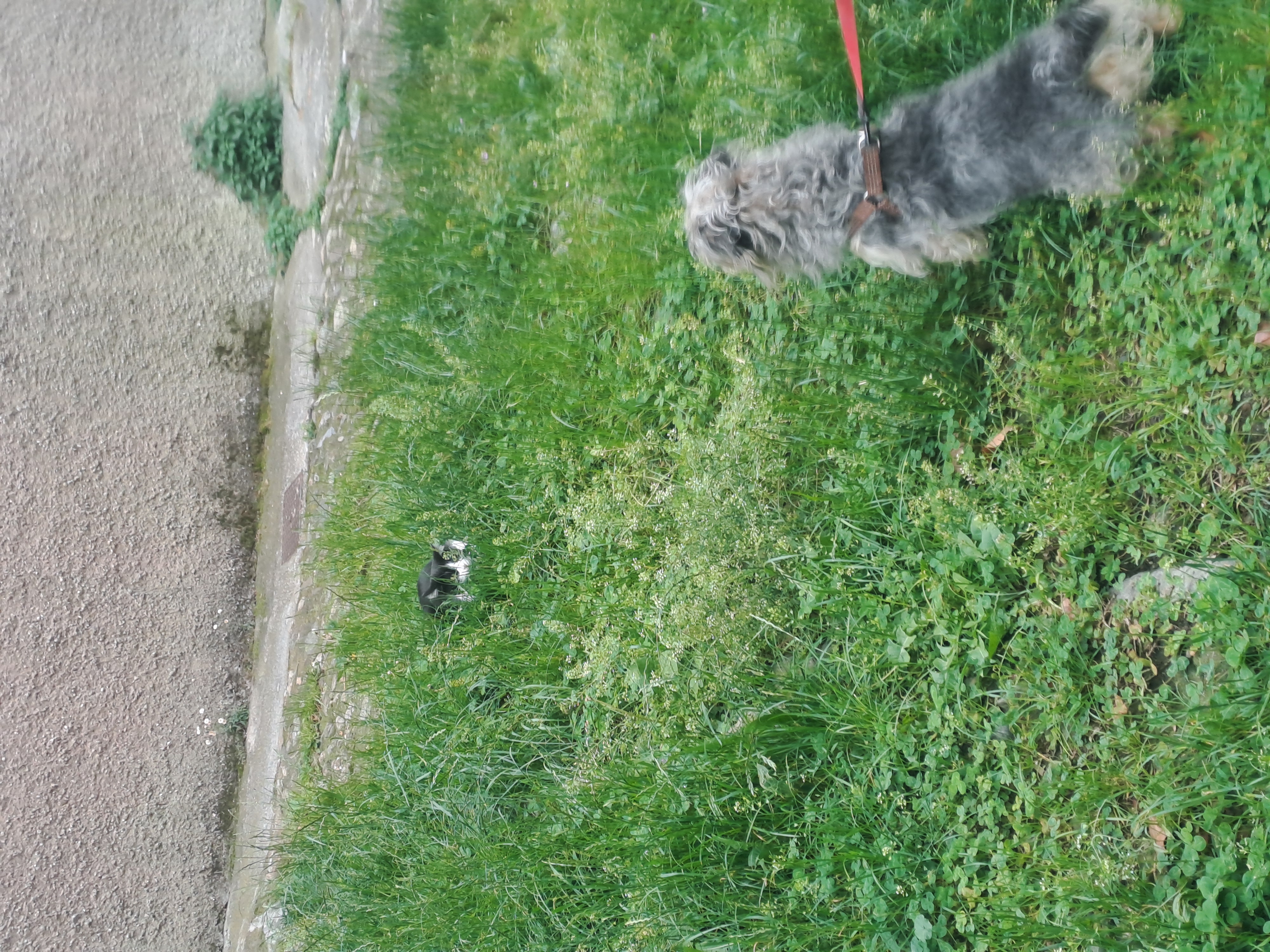 image-6