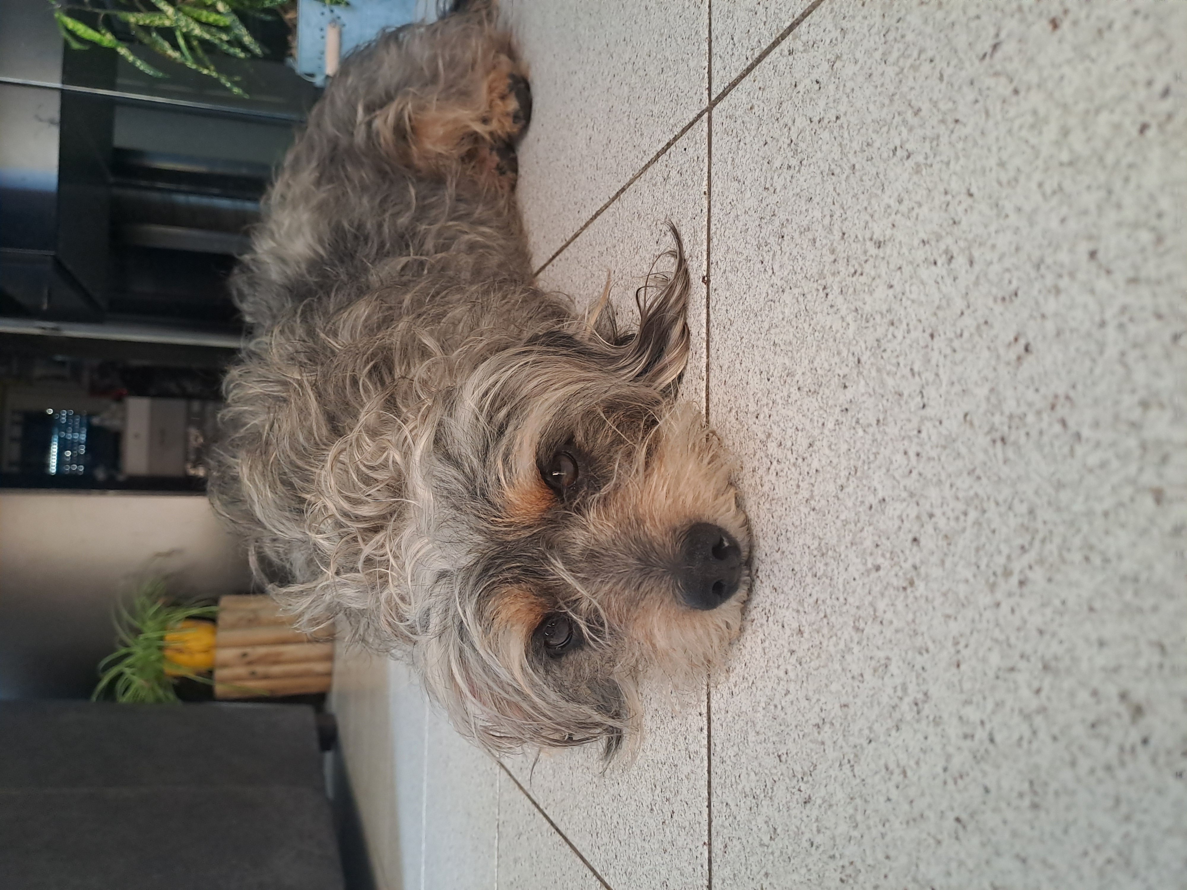image-11