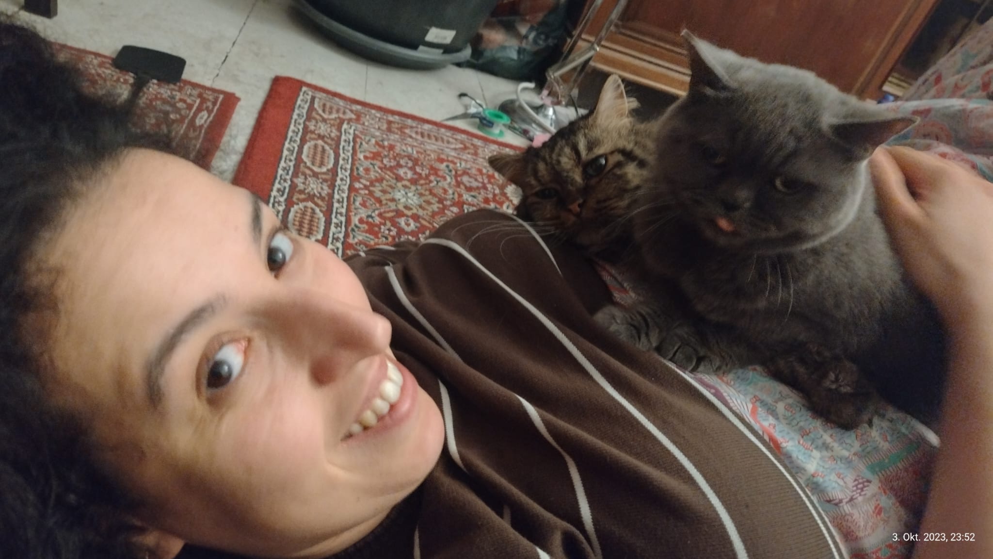 image-3