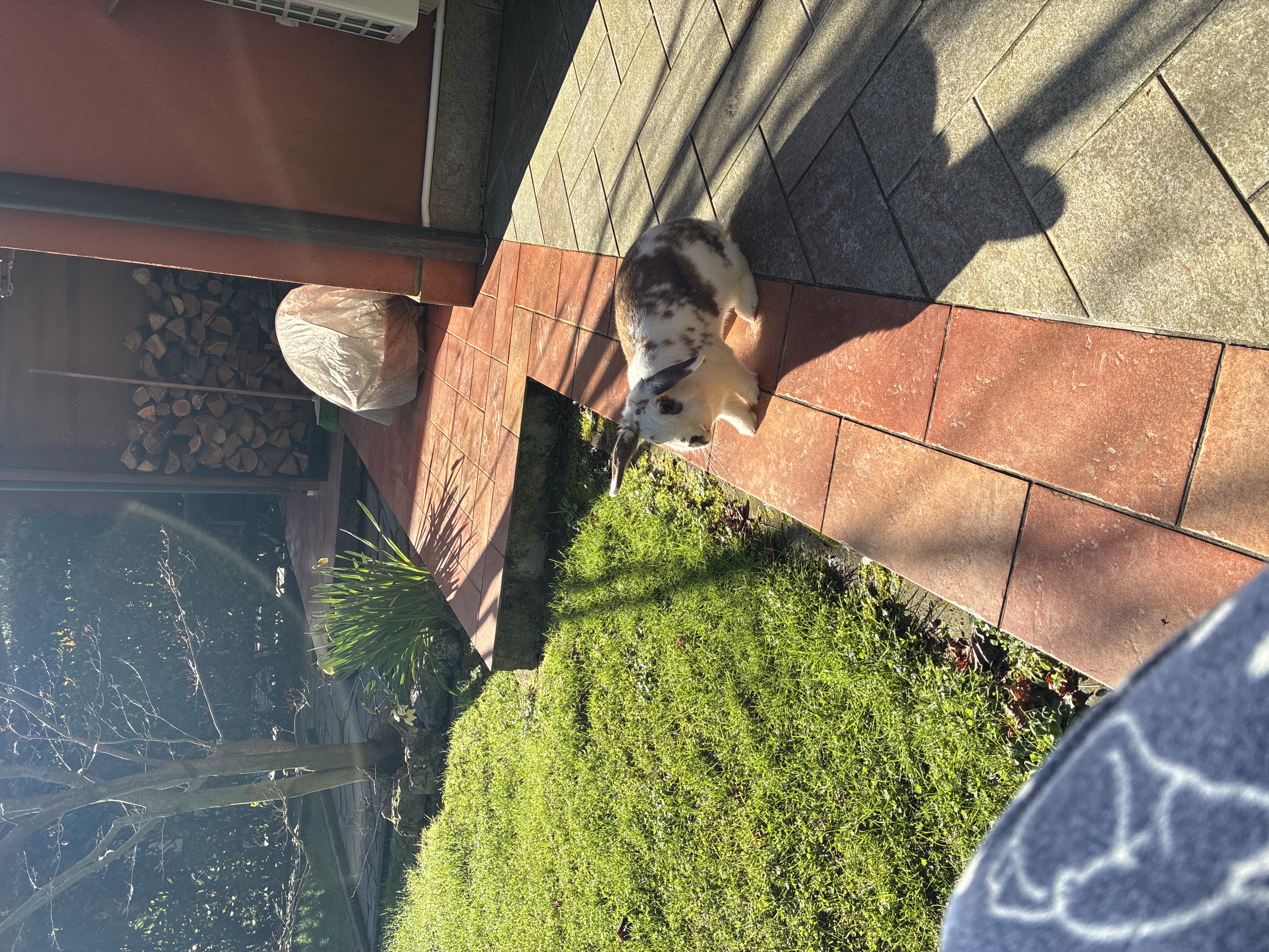 image-8