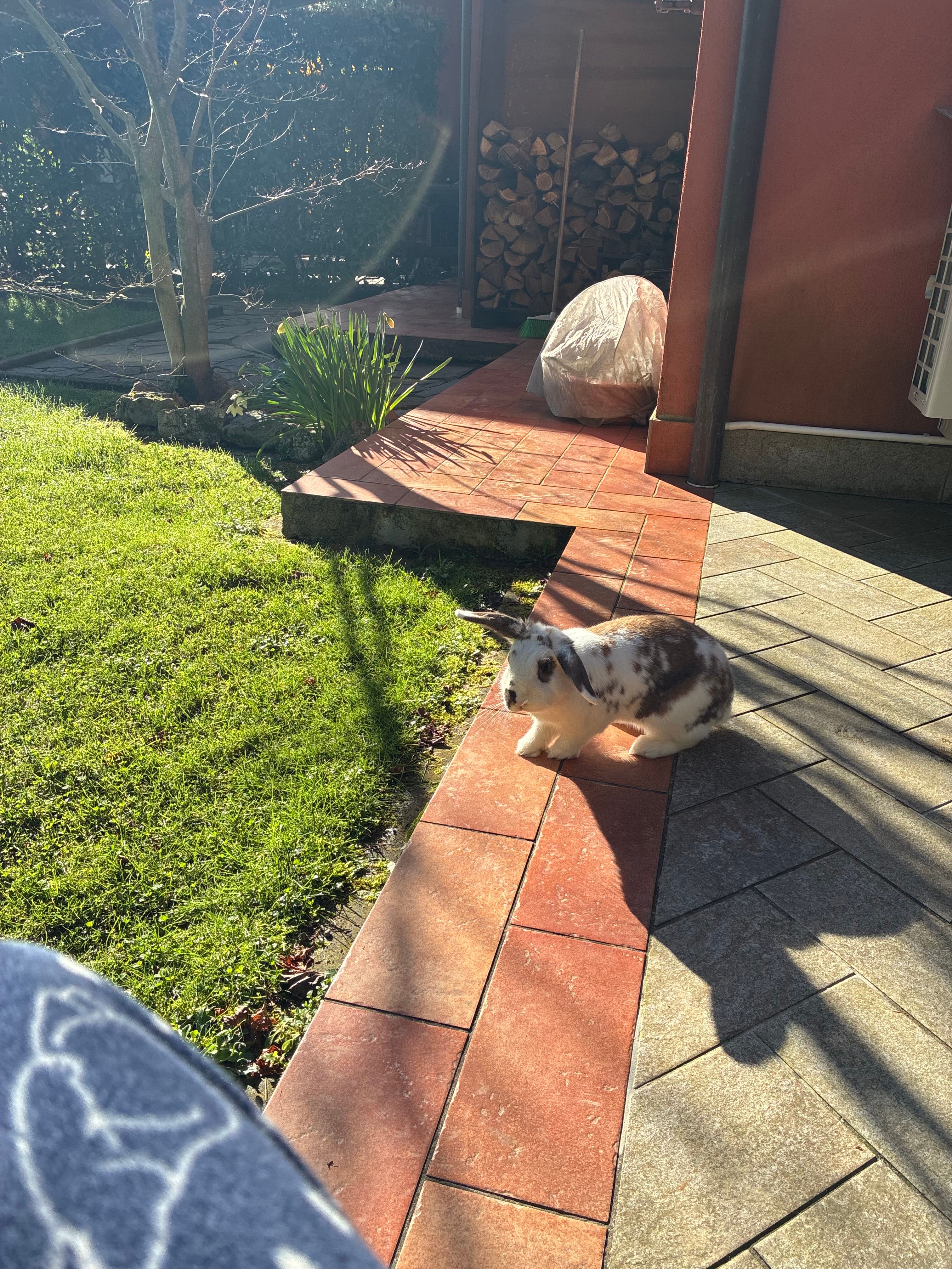 image-8
