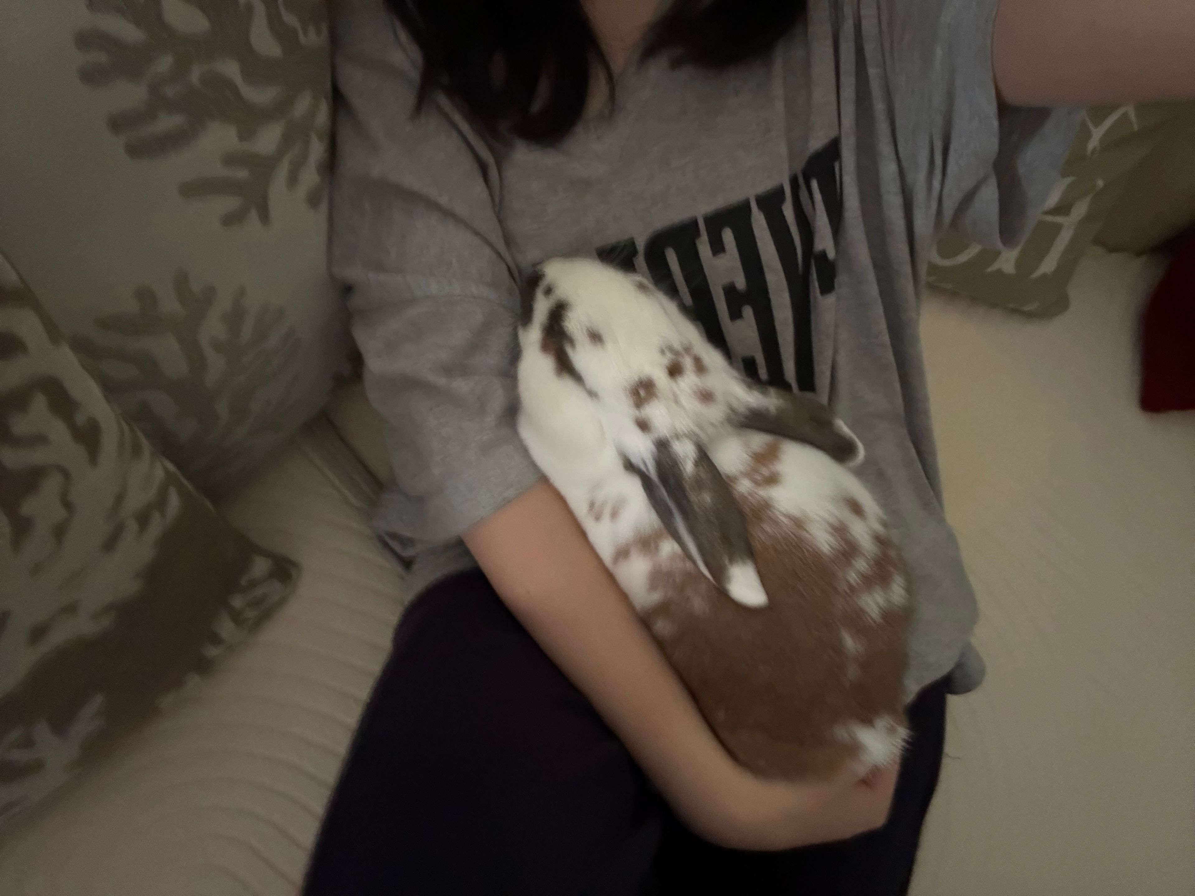image-7