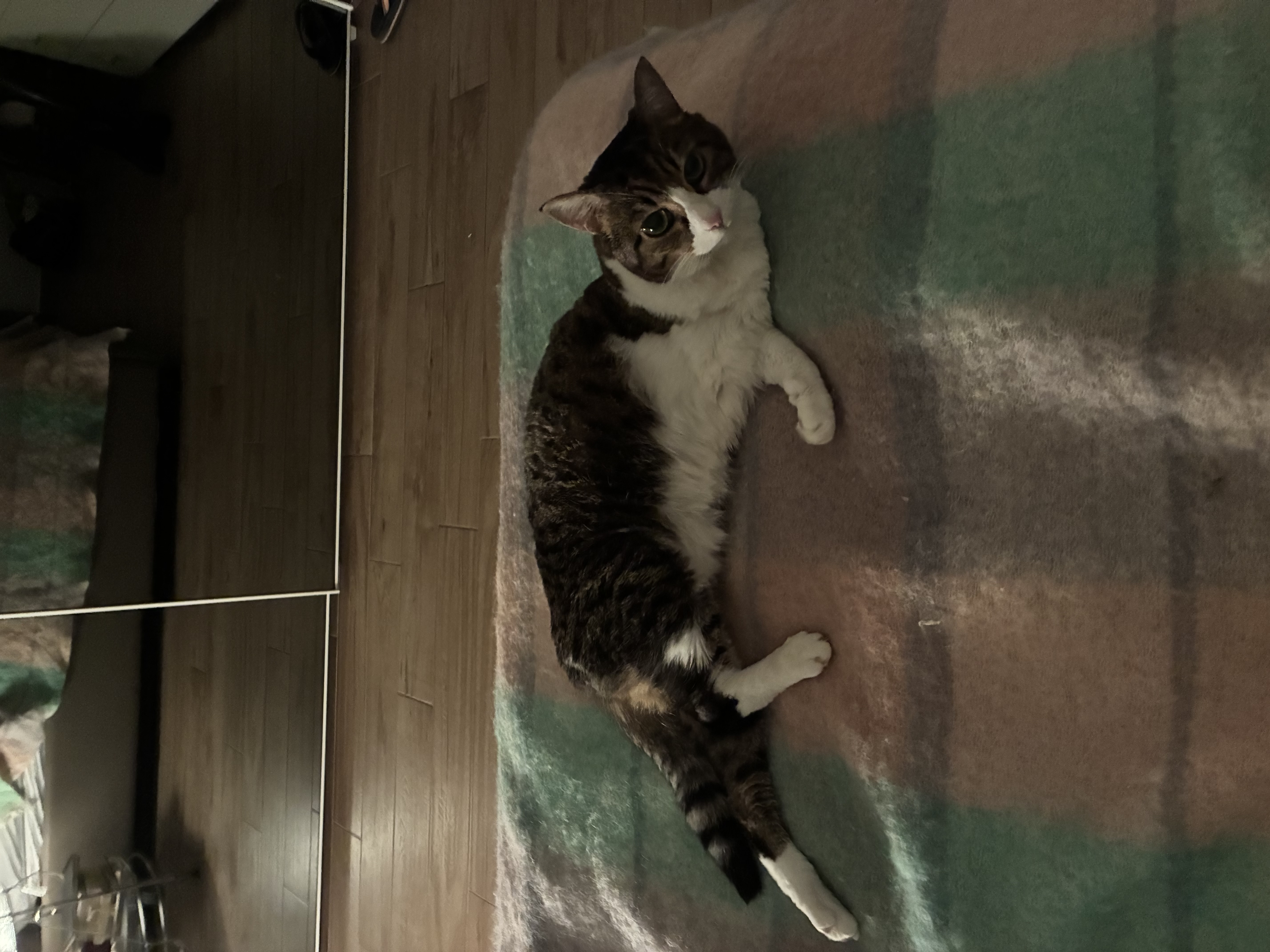 image-9