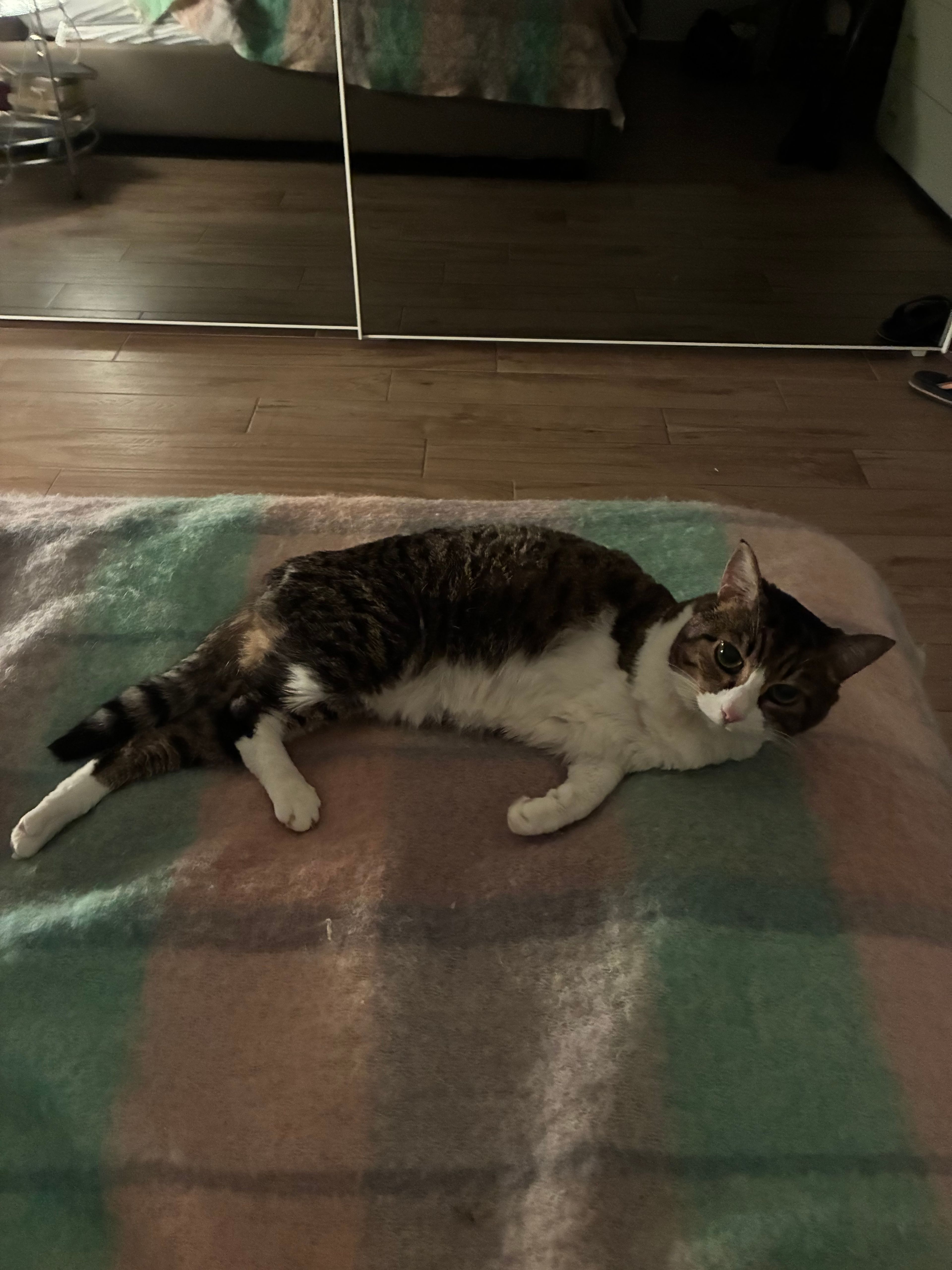 image-9