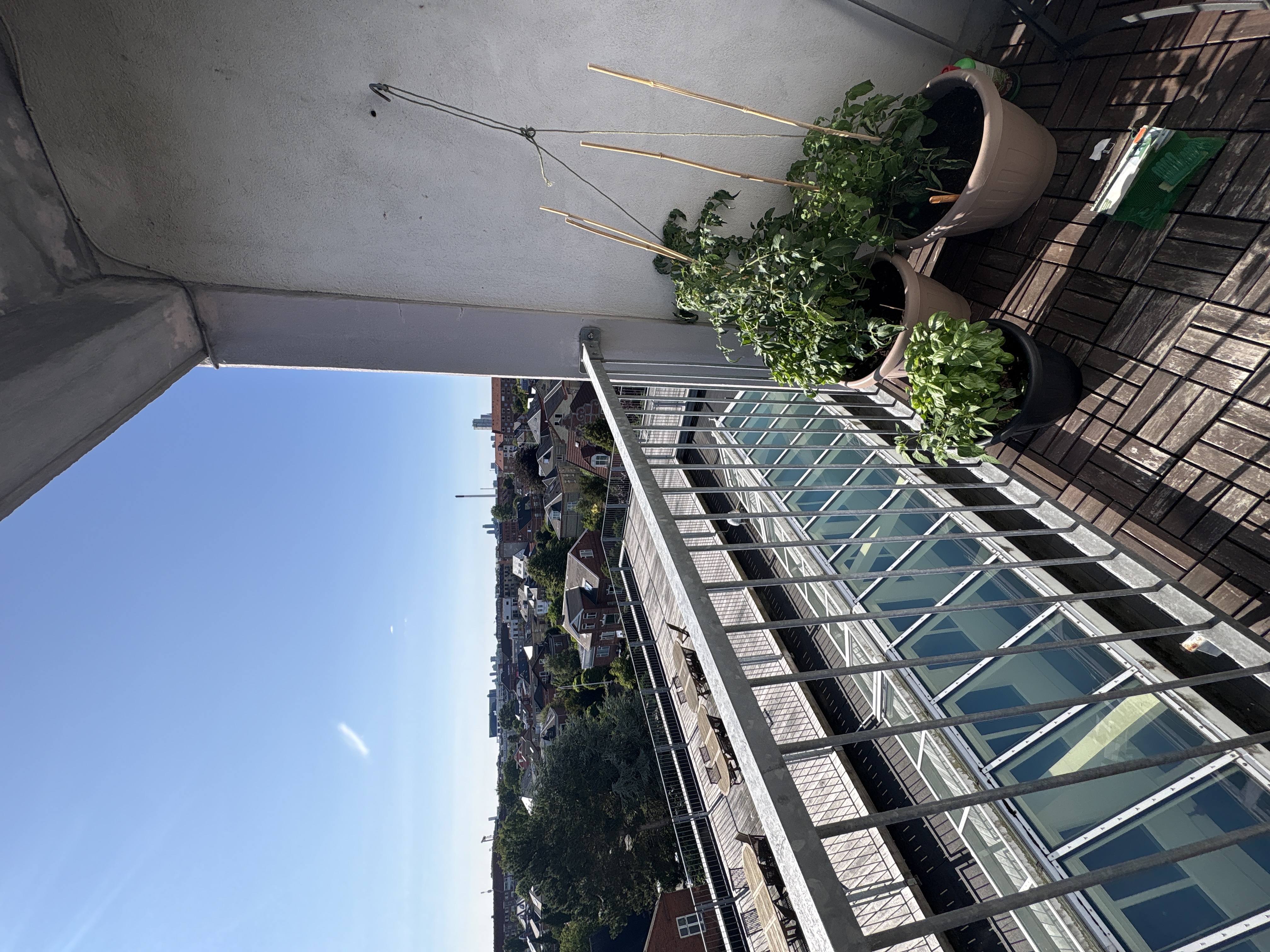 image-15