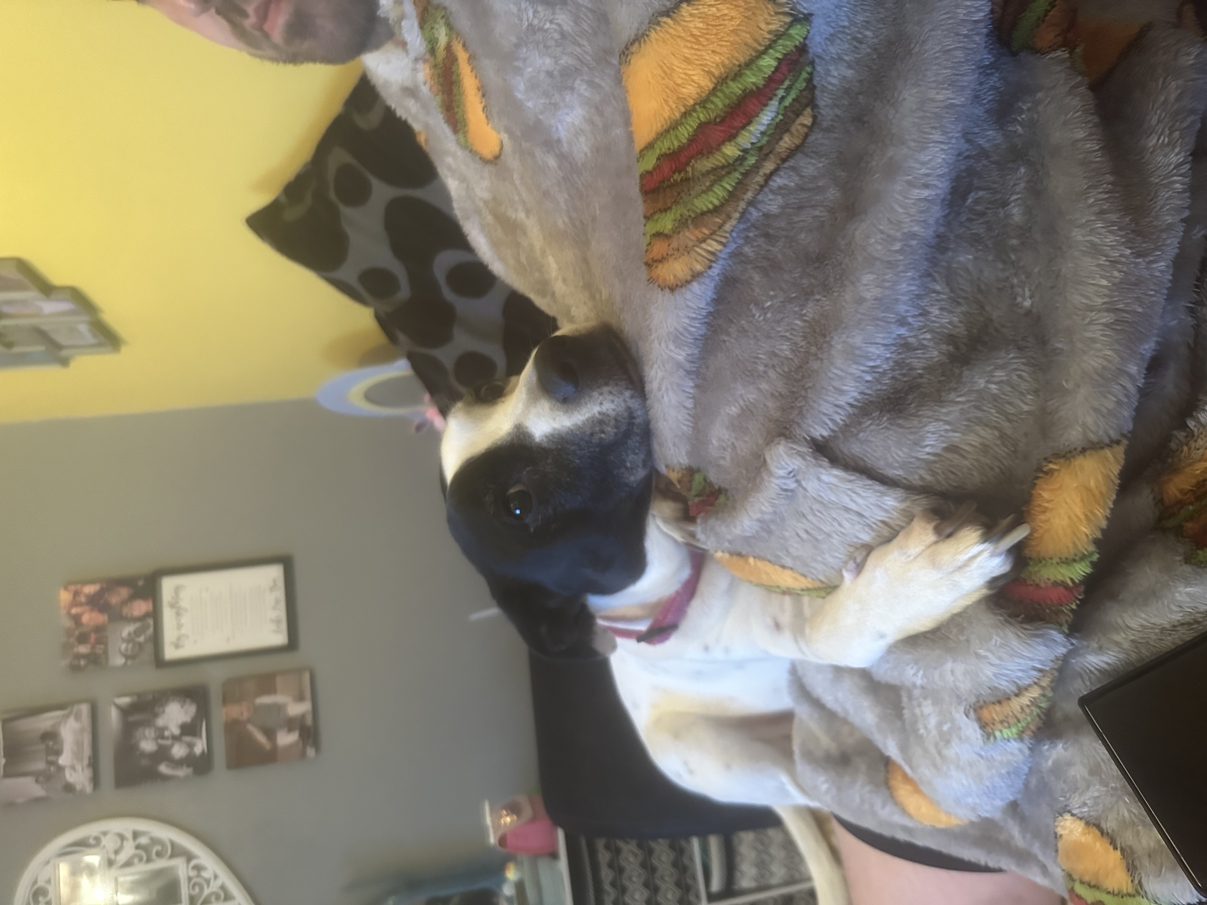 image-12