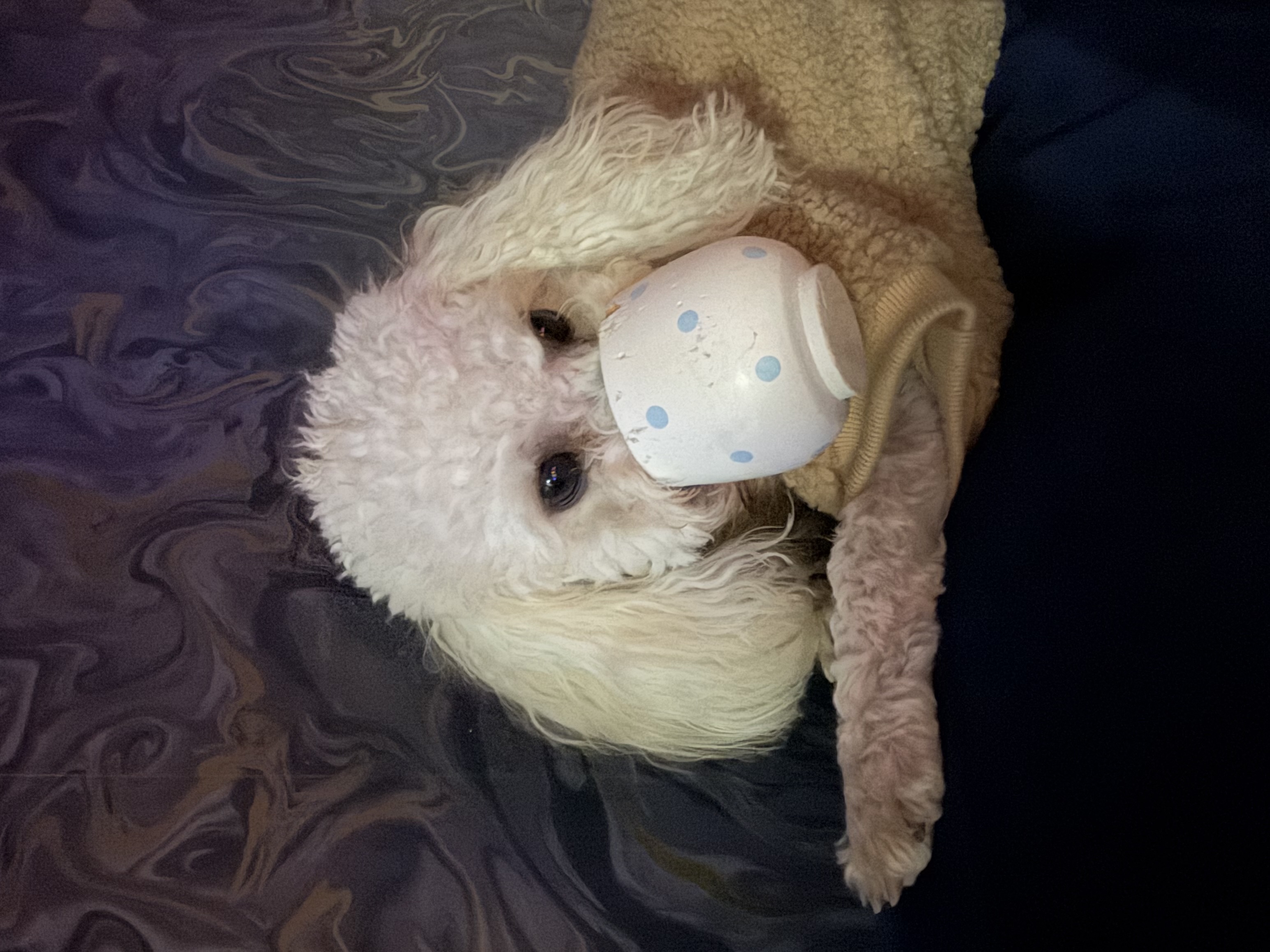 image-5
