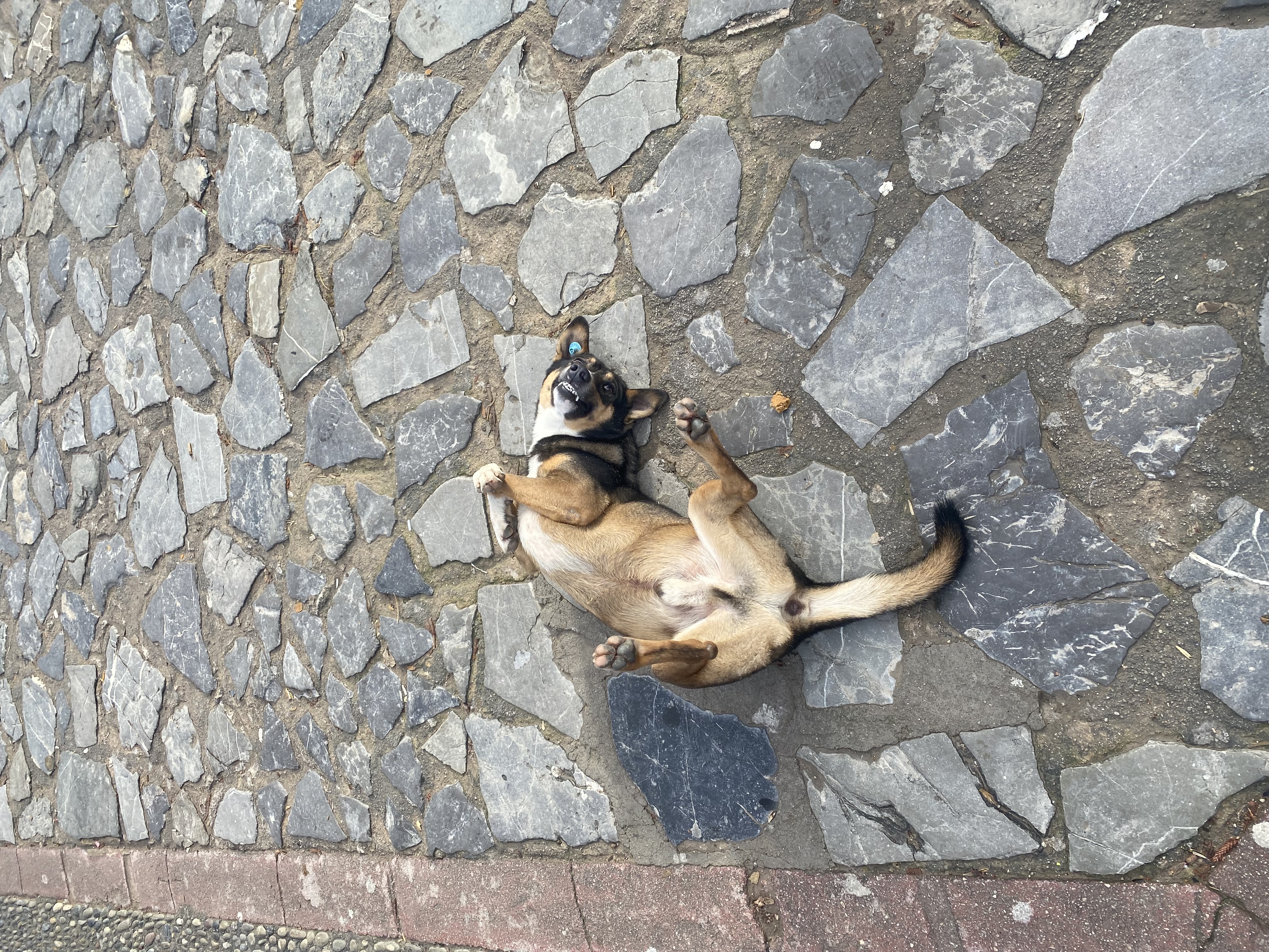 image-8