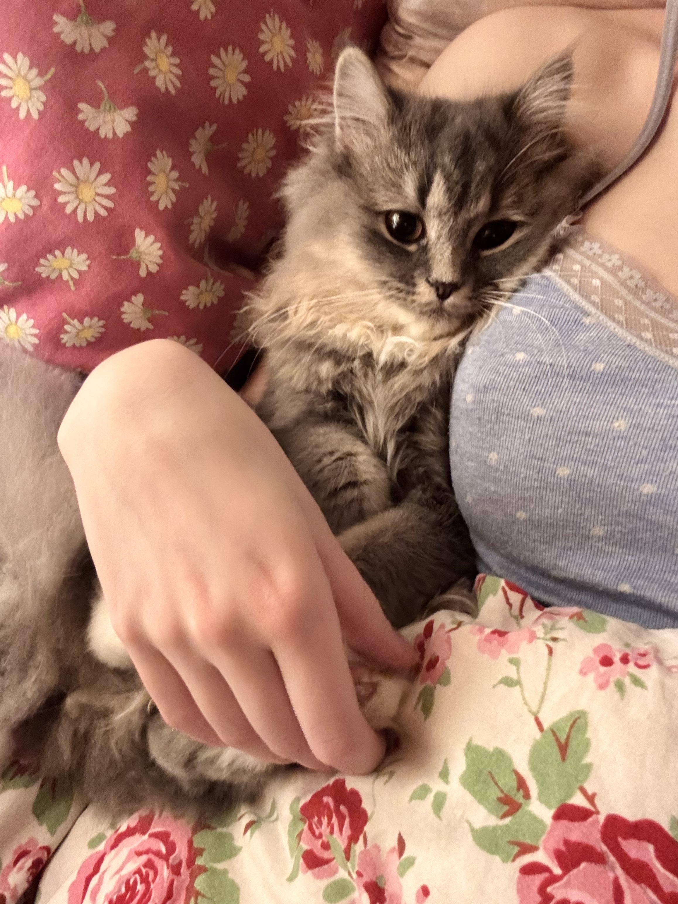 image-8