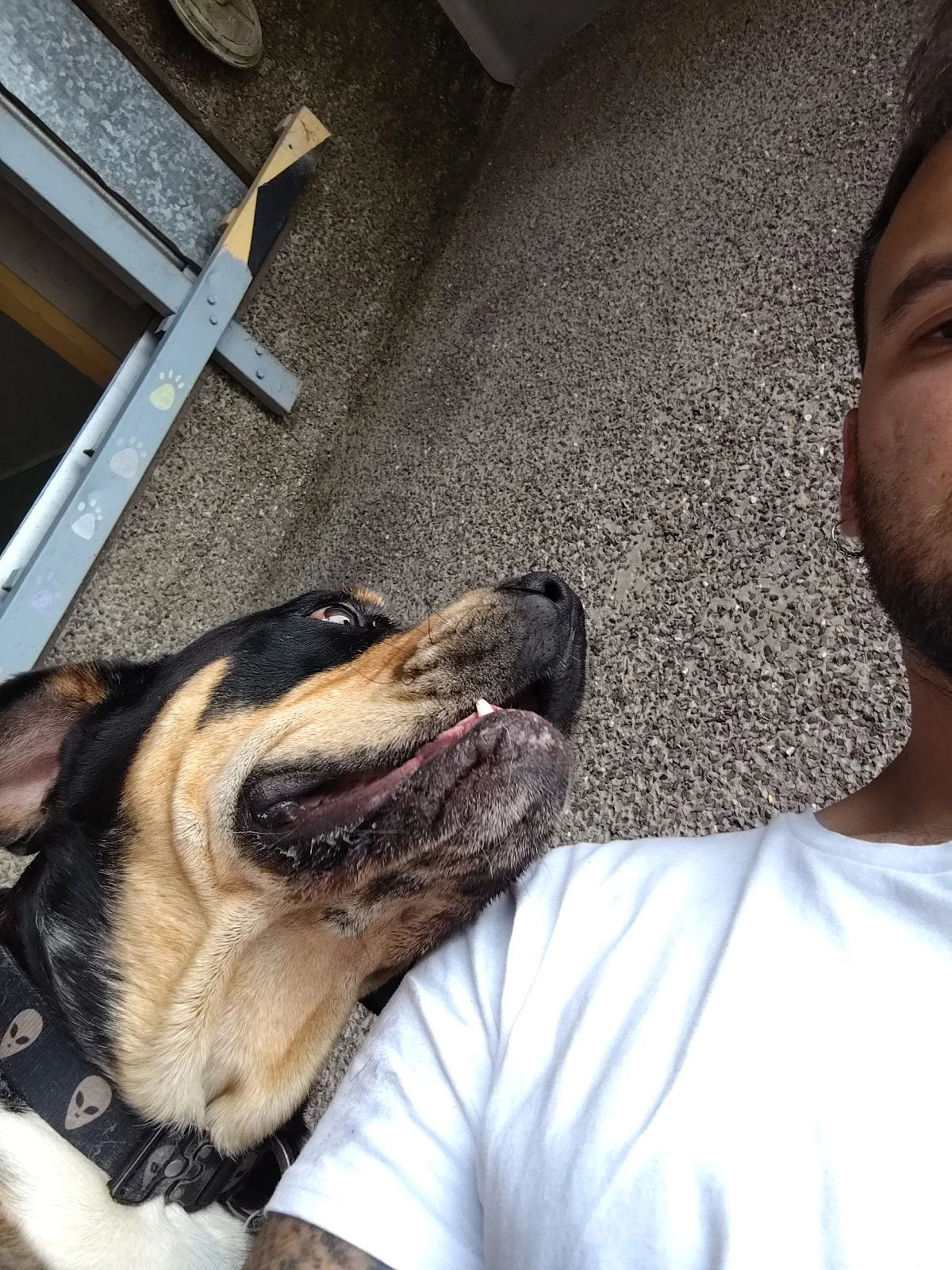 image-7
