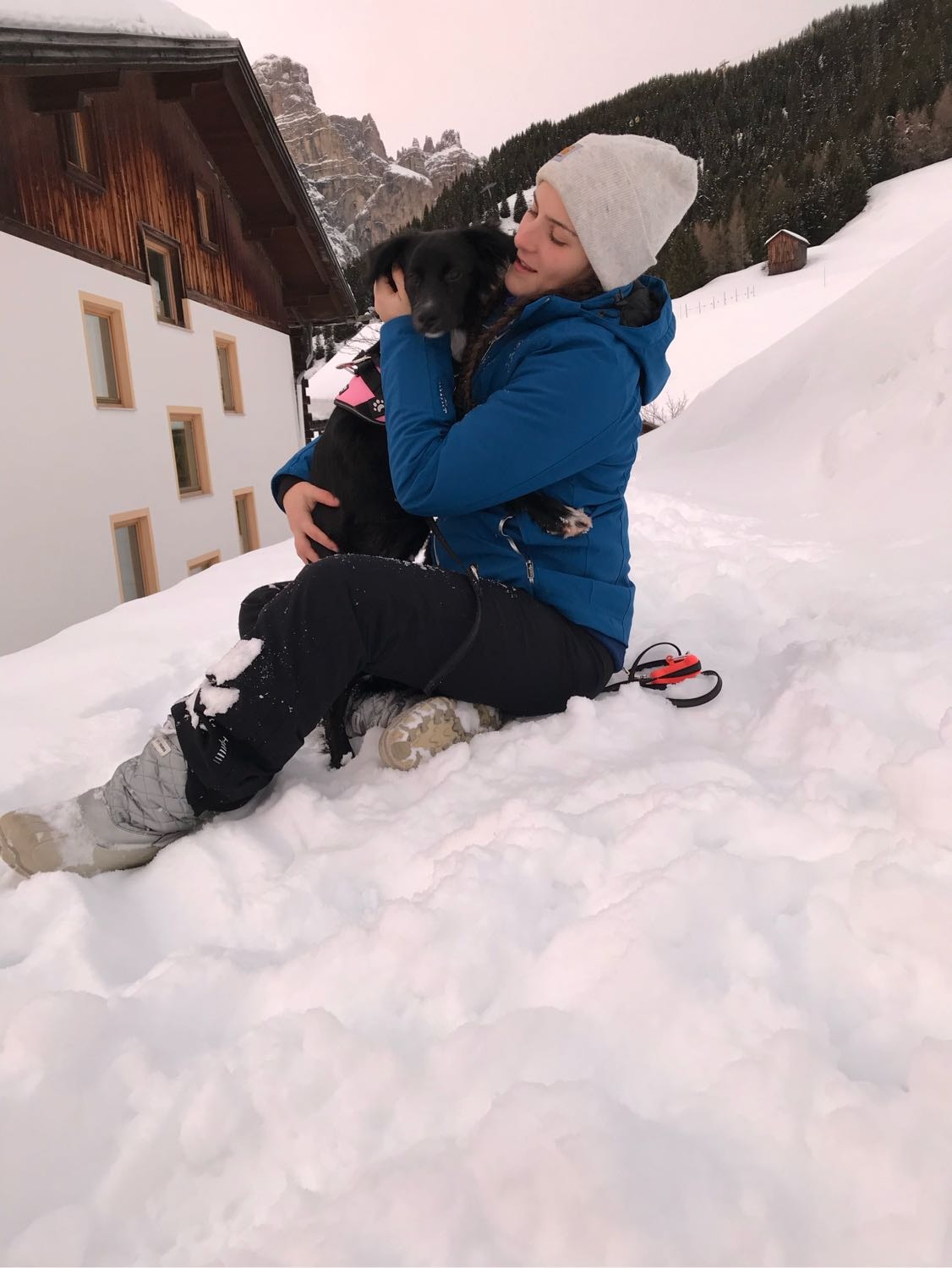 image-6