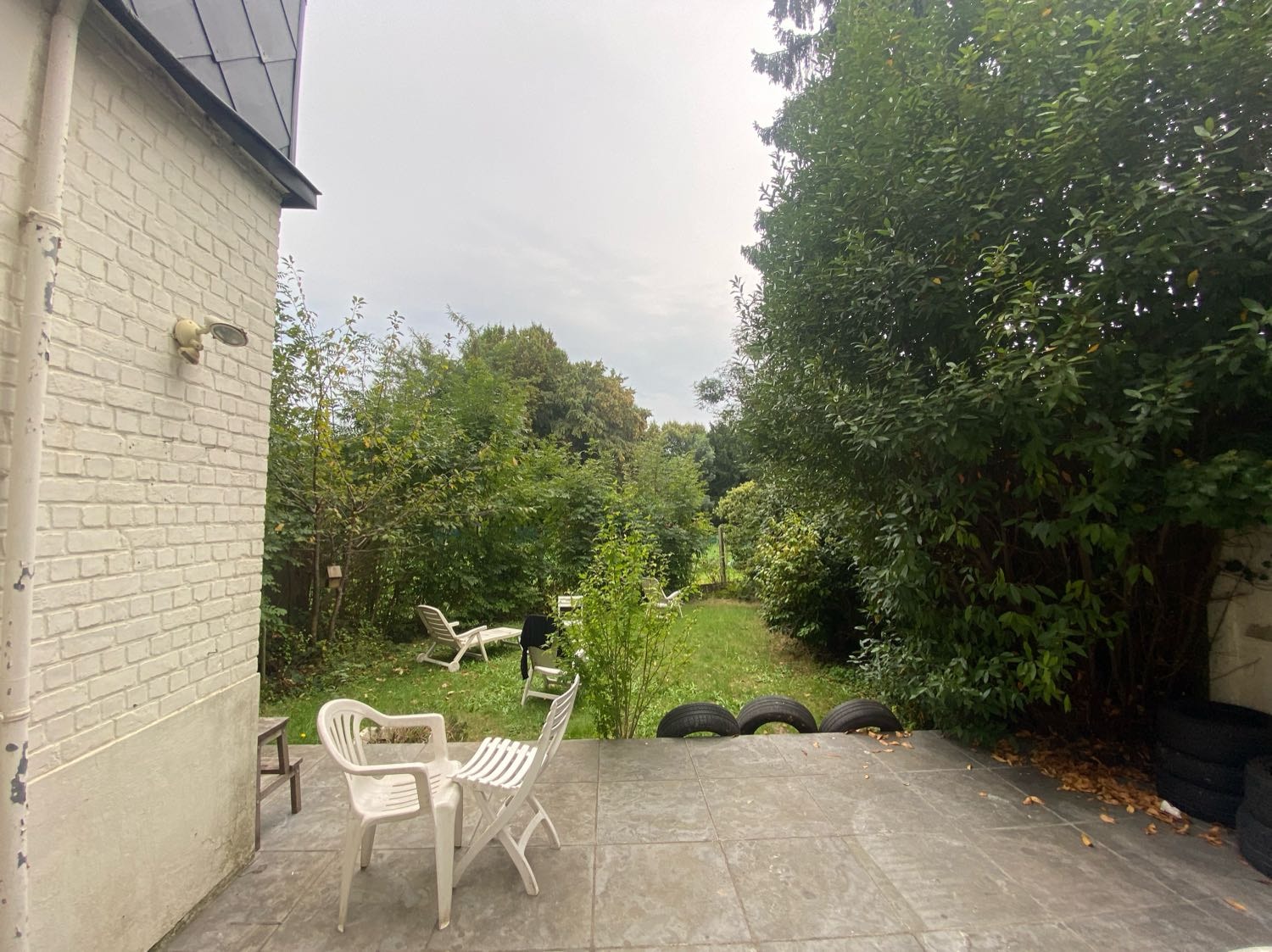 image-8