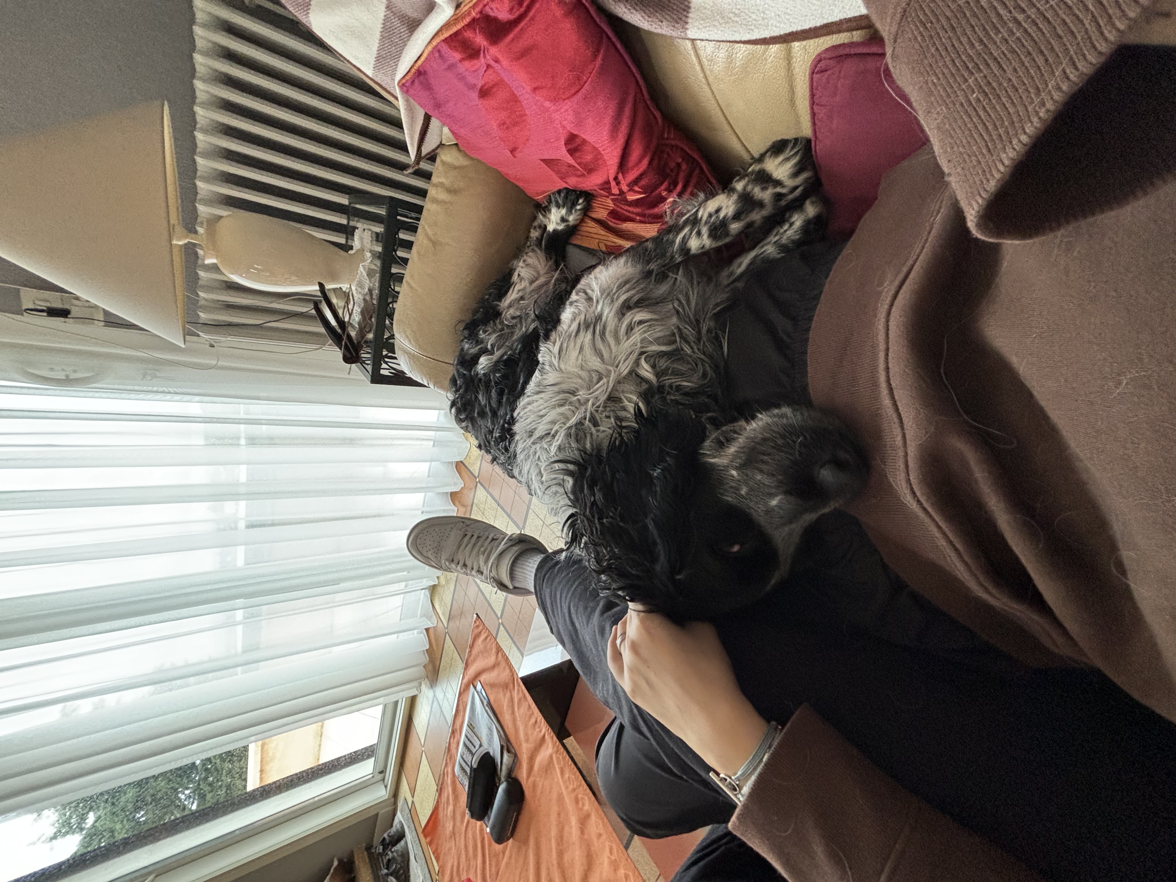 image-9