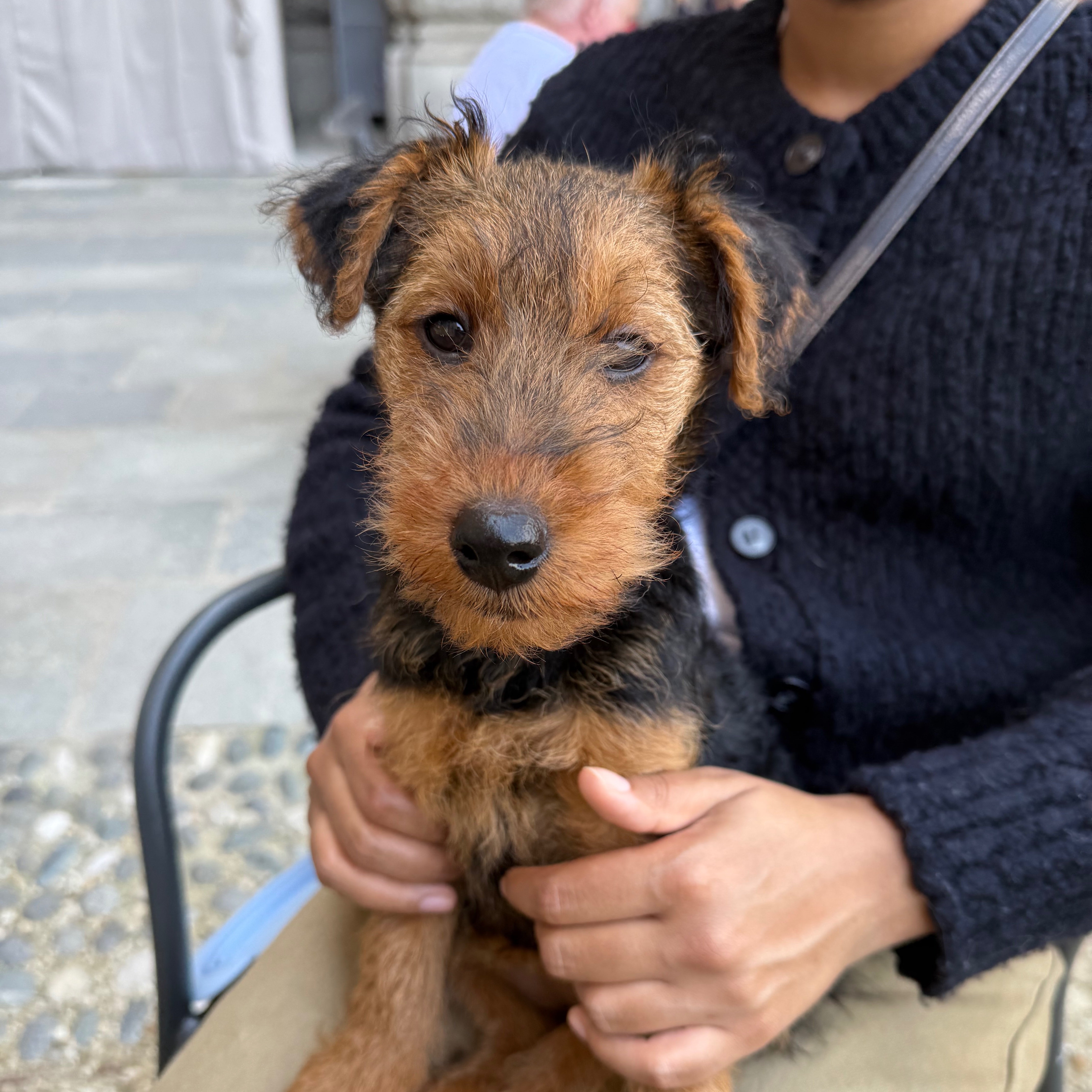 Matteo