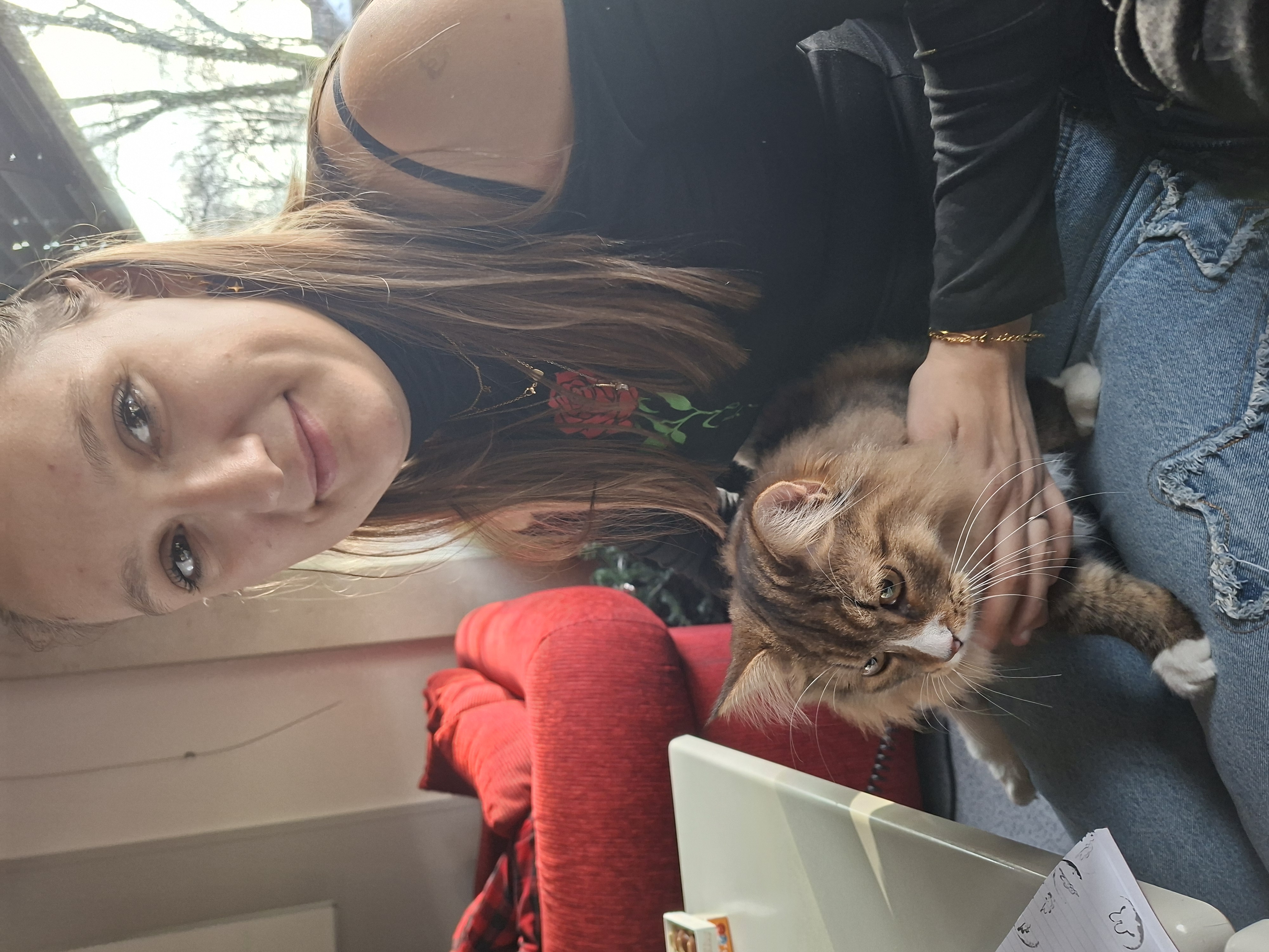 image-8