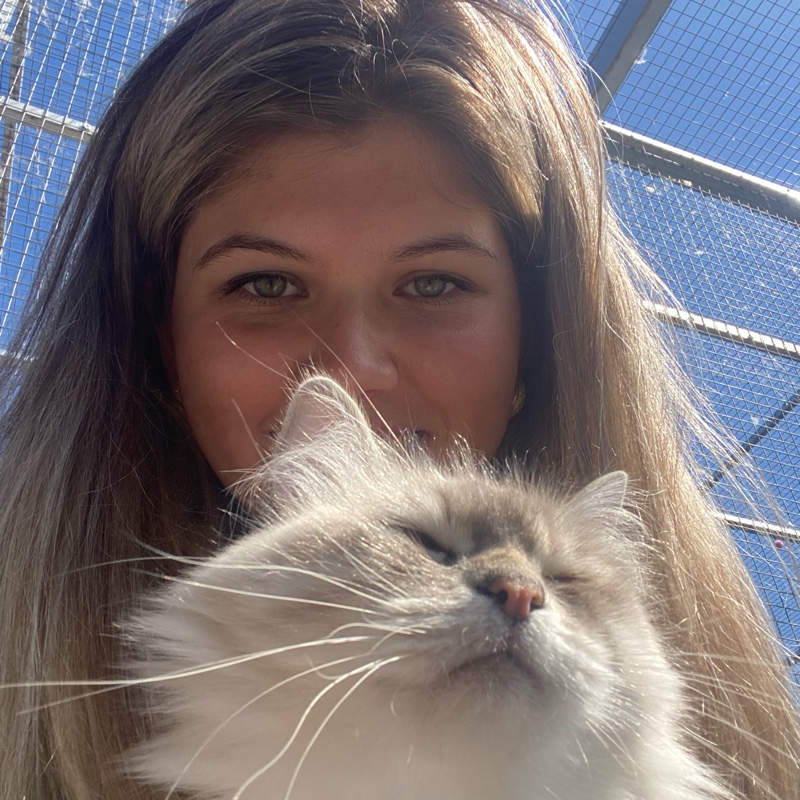 Babette