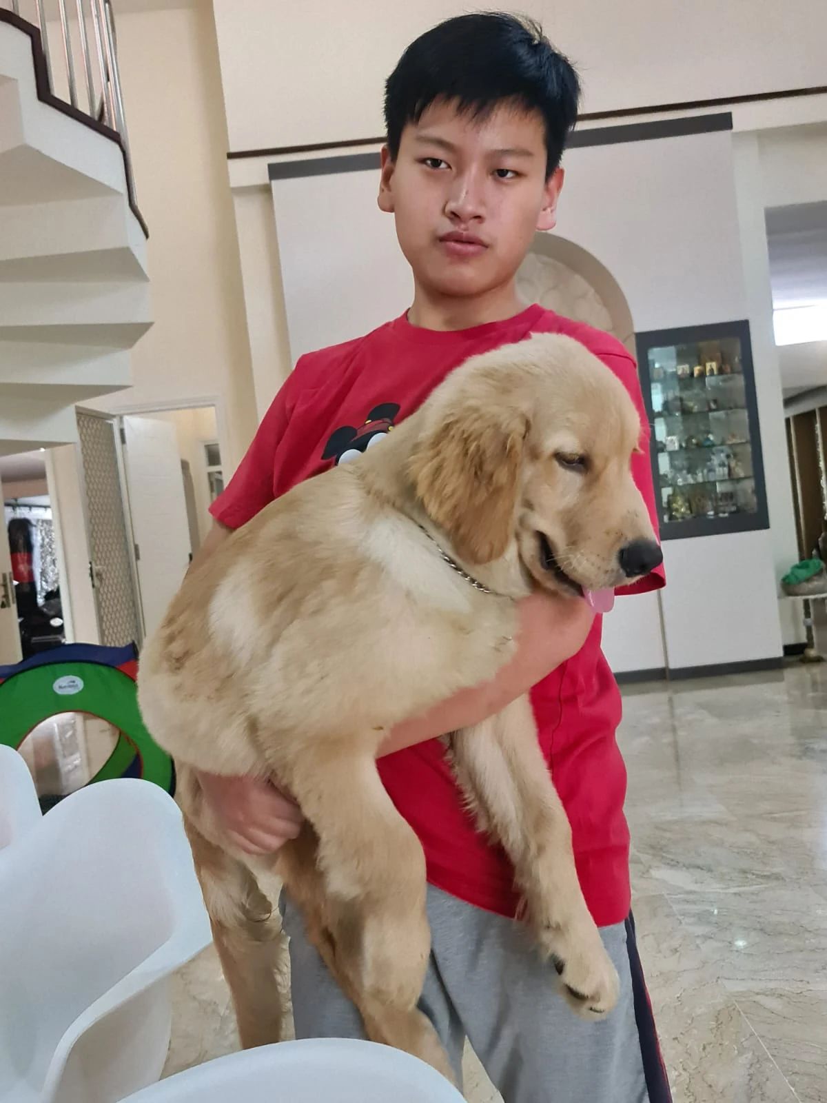 image-7