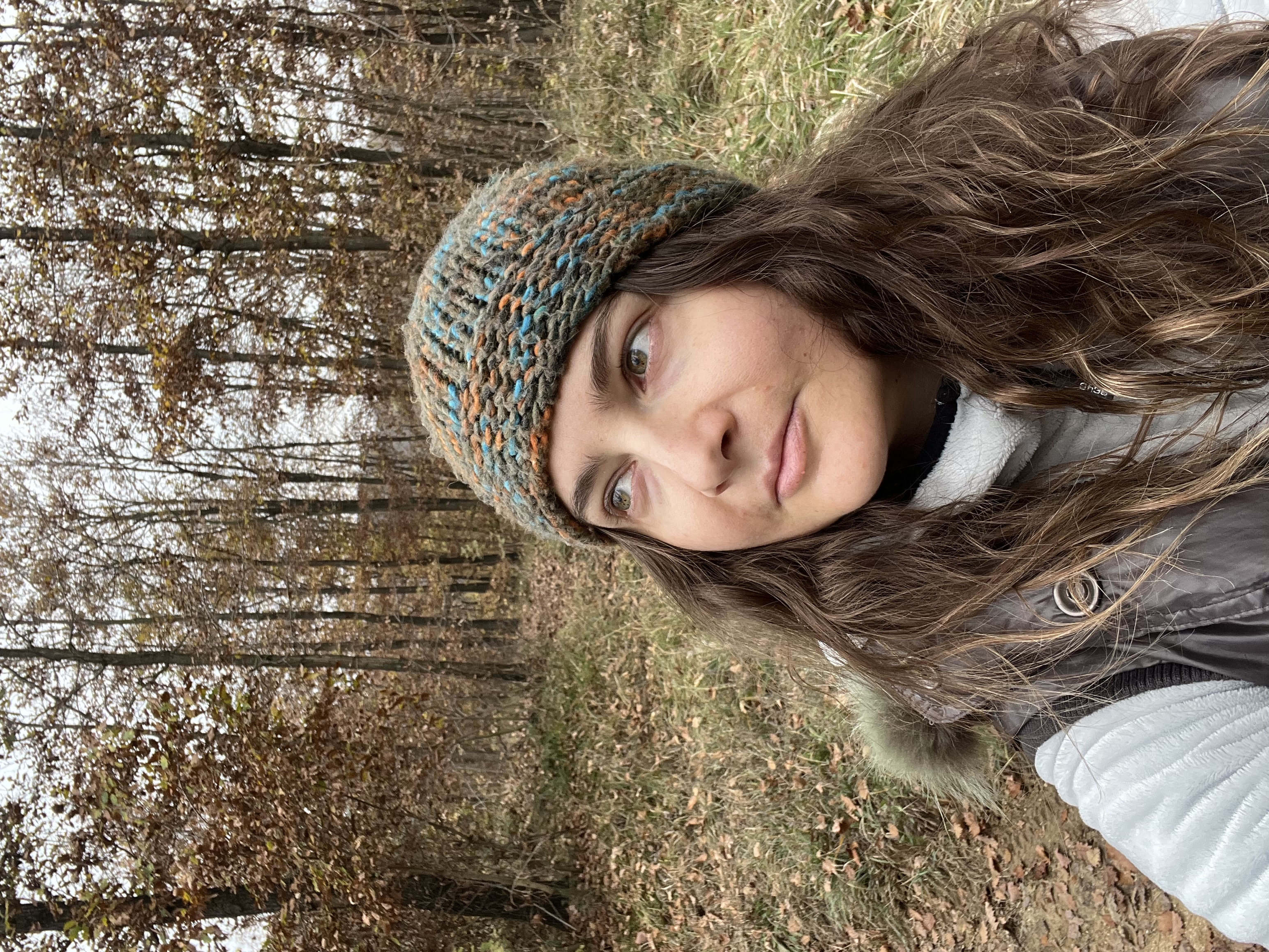 image-6