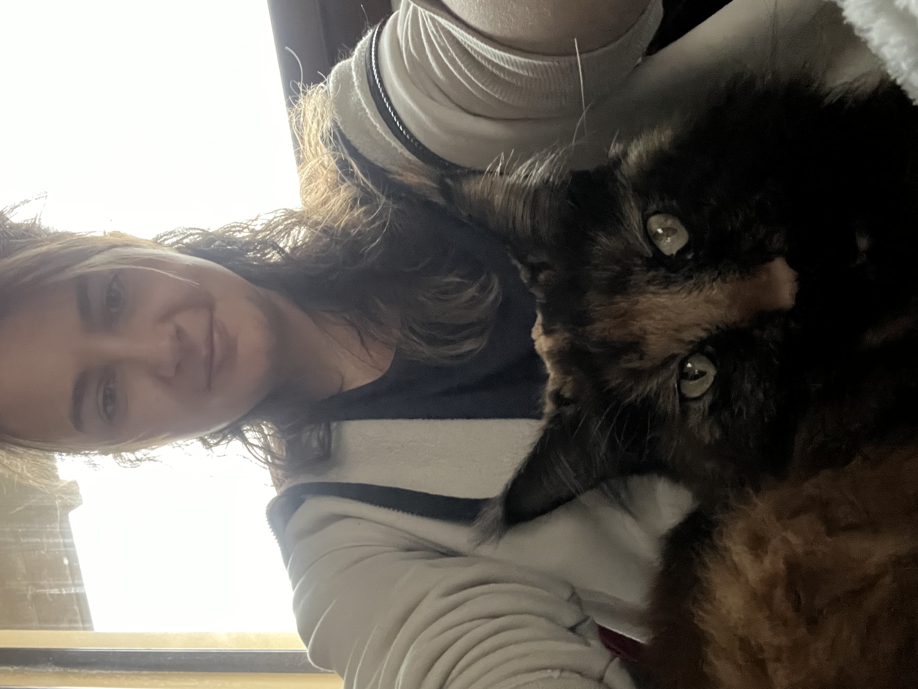 image-8