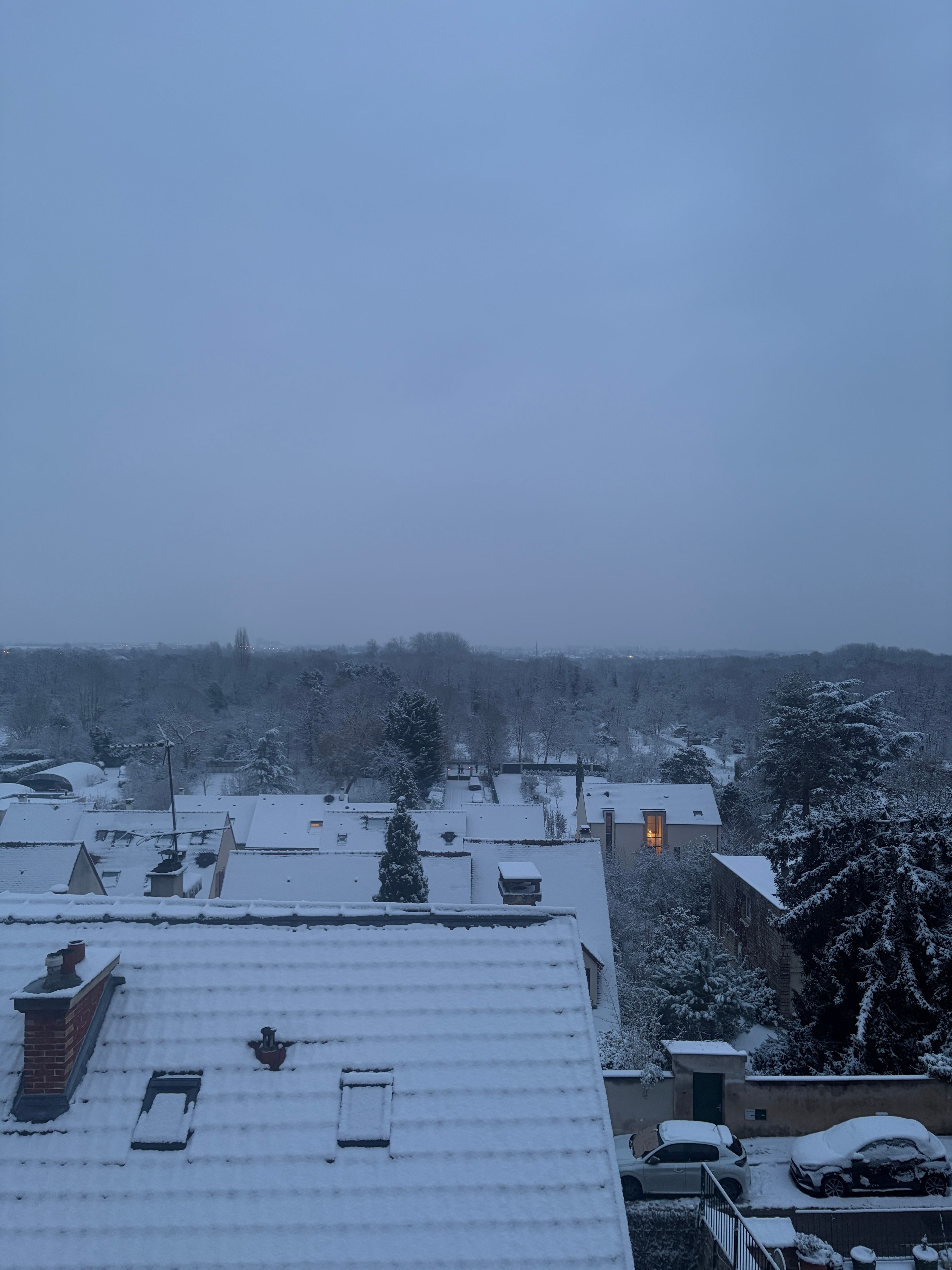 image-7