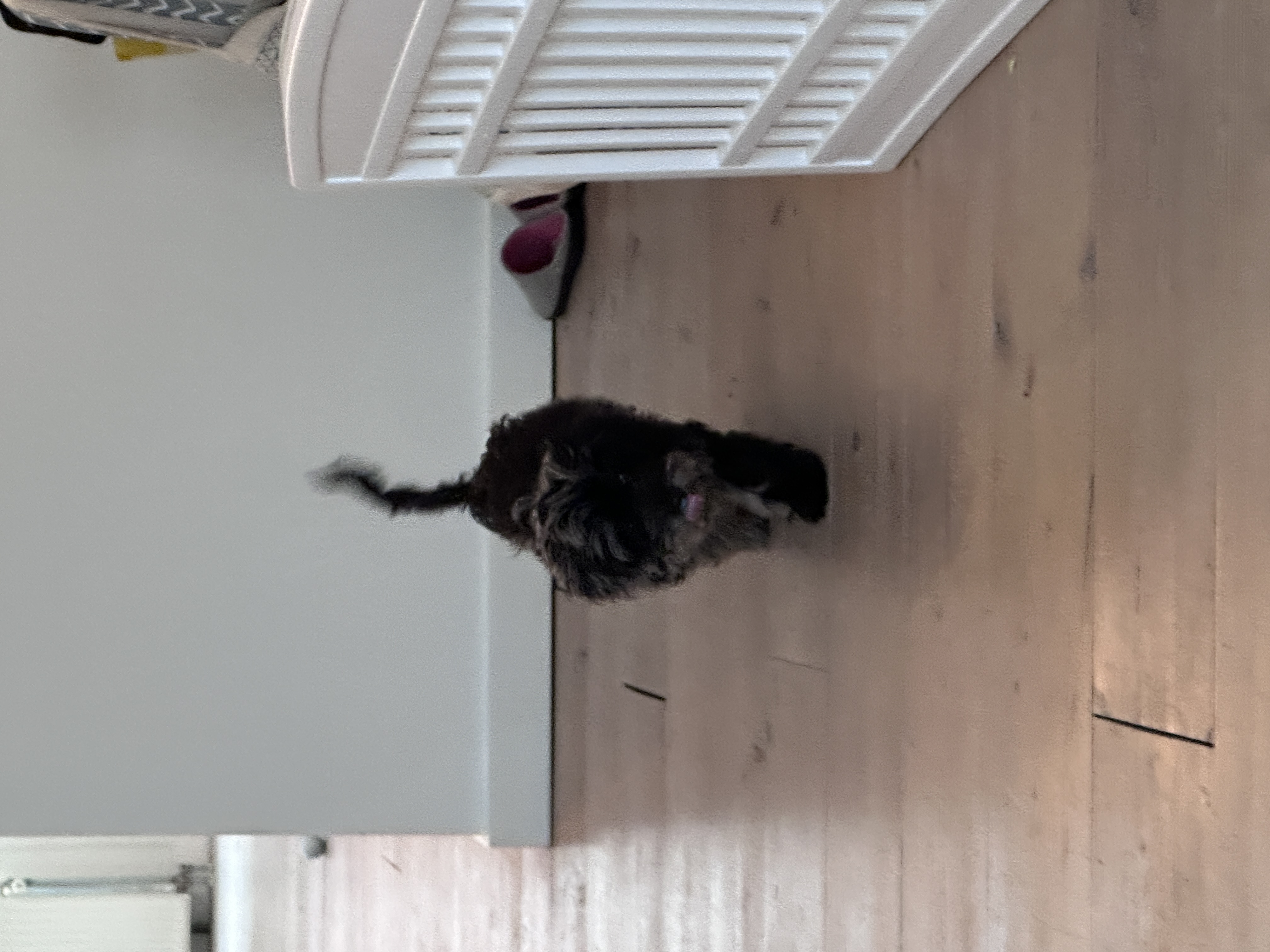 image-18