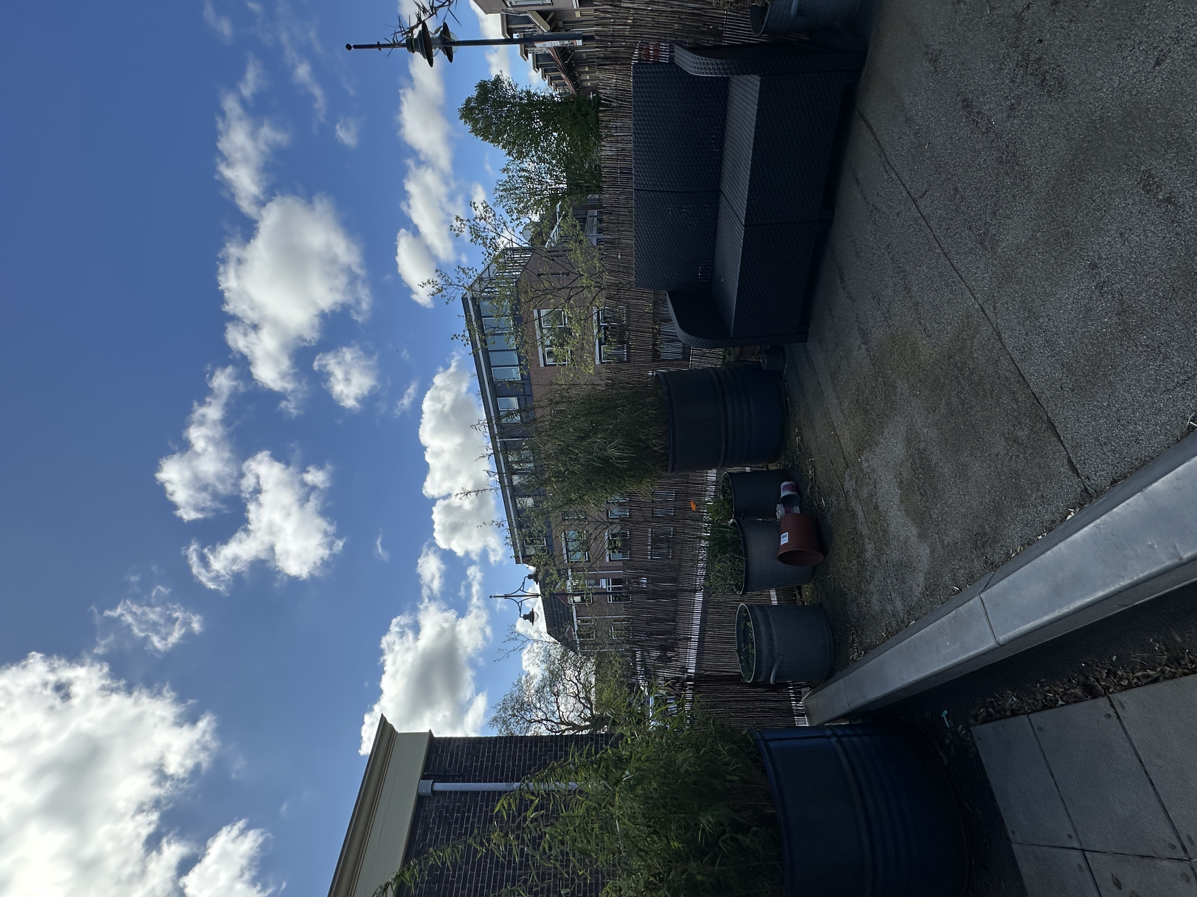 image-20