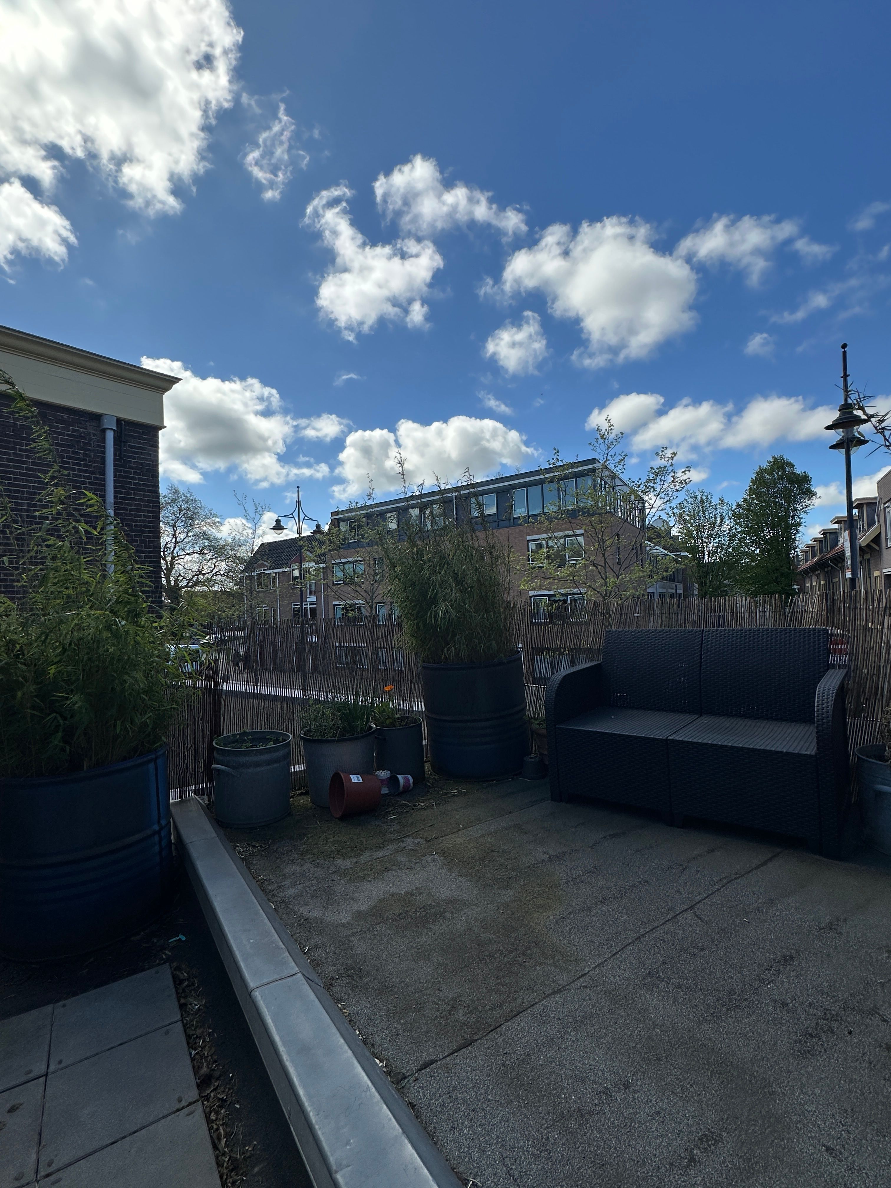 image-20