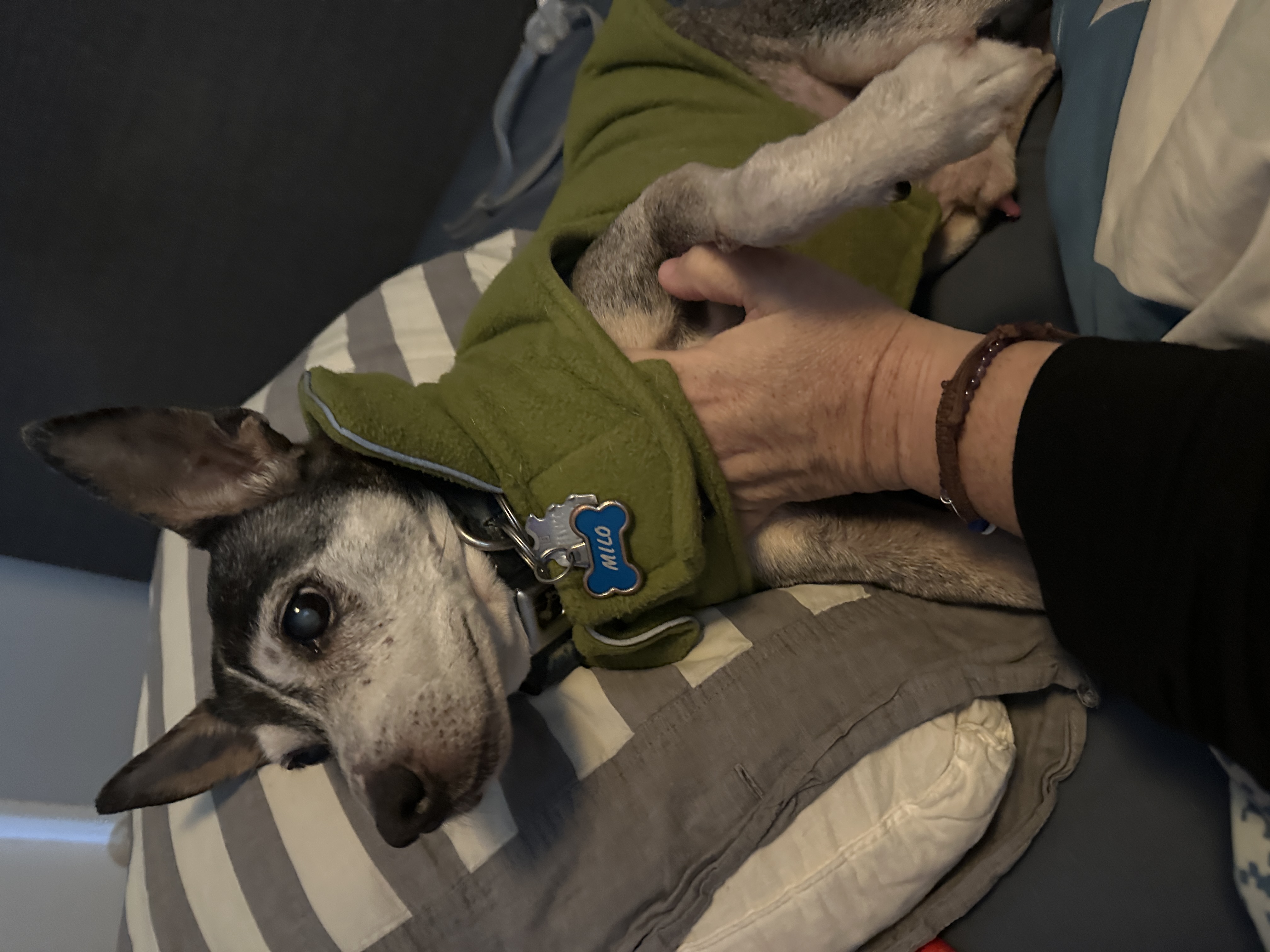 image-9